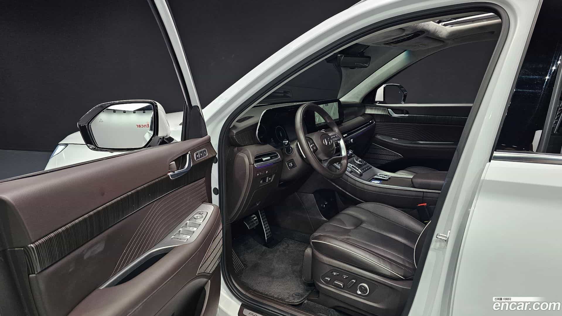 Palisade Hyundai 2023.10-OPTION-015