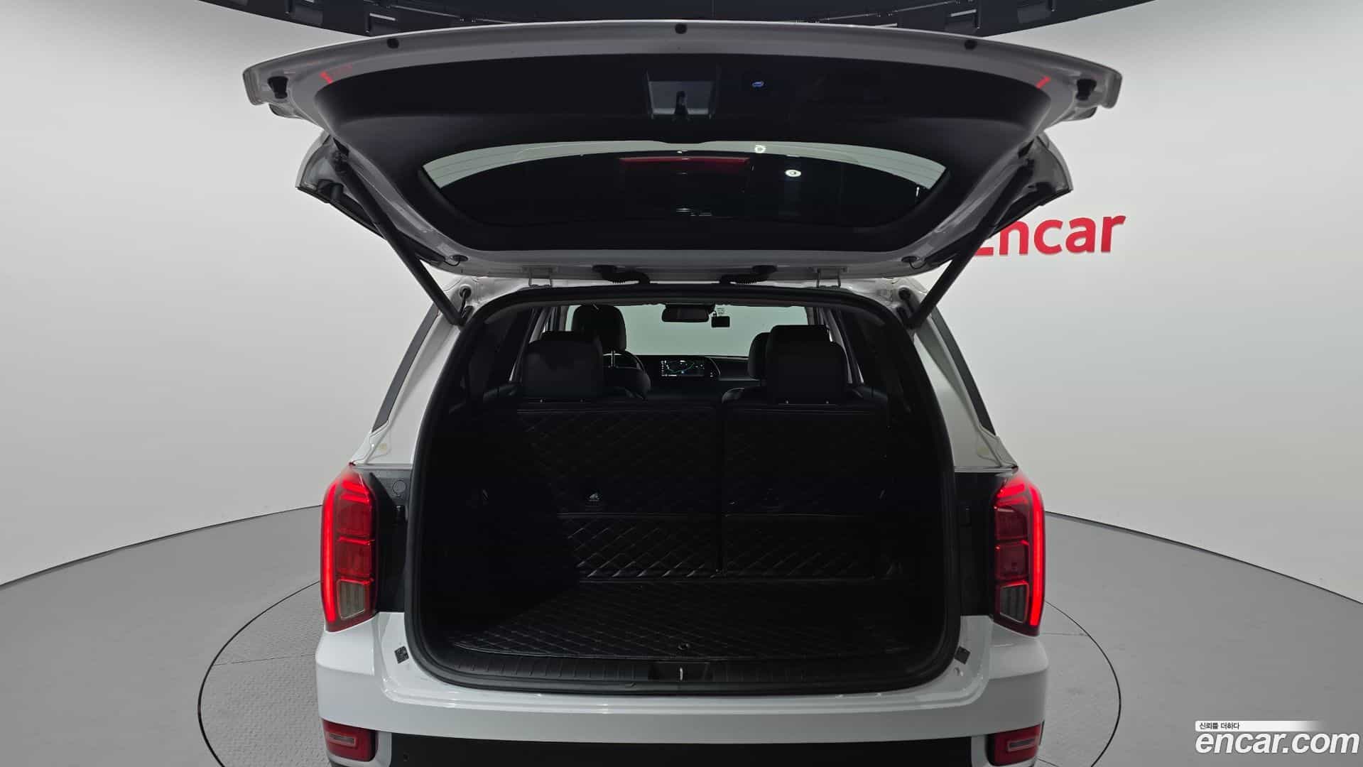 Palisade Hyundai 2020.6-OPTION-024