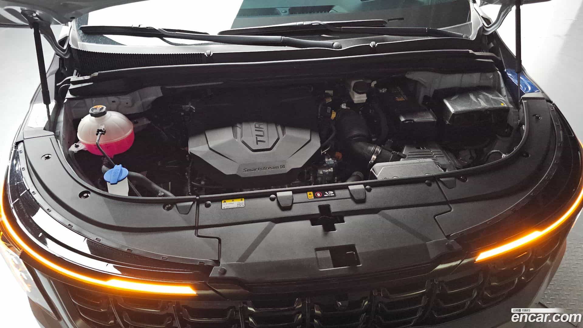 Canival Kia 2025.5-INNER-006