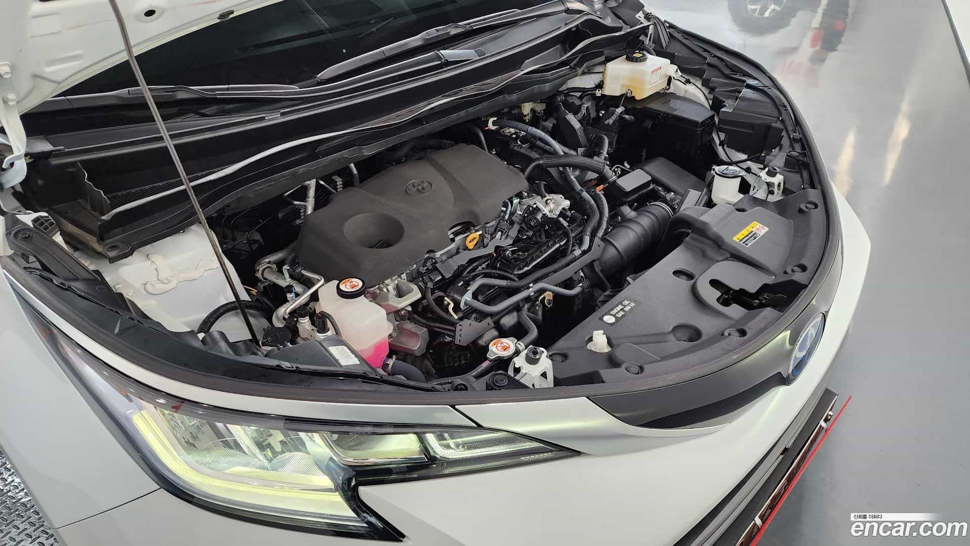 Sienna Toyota 2023.8-INNER-006