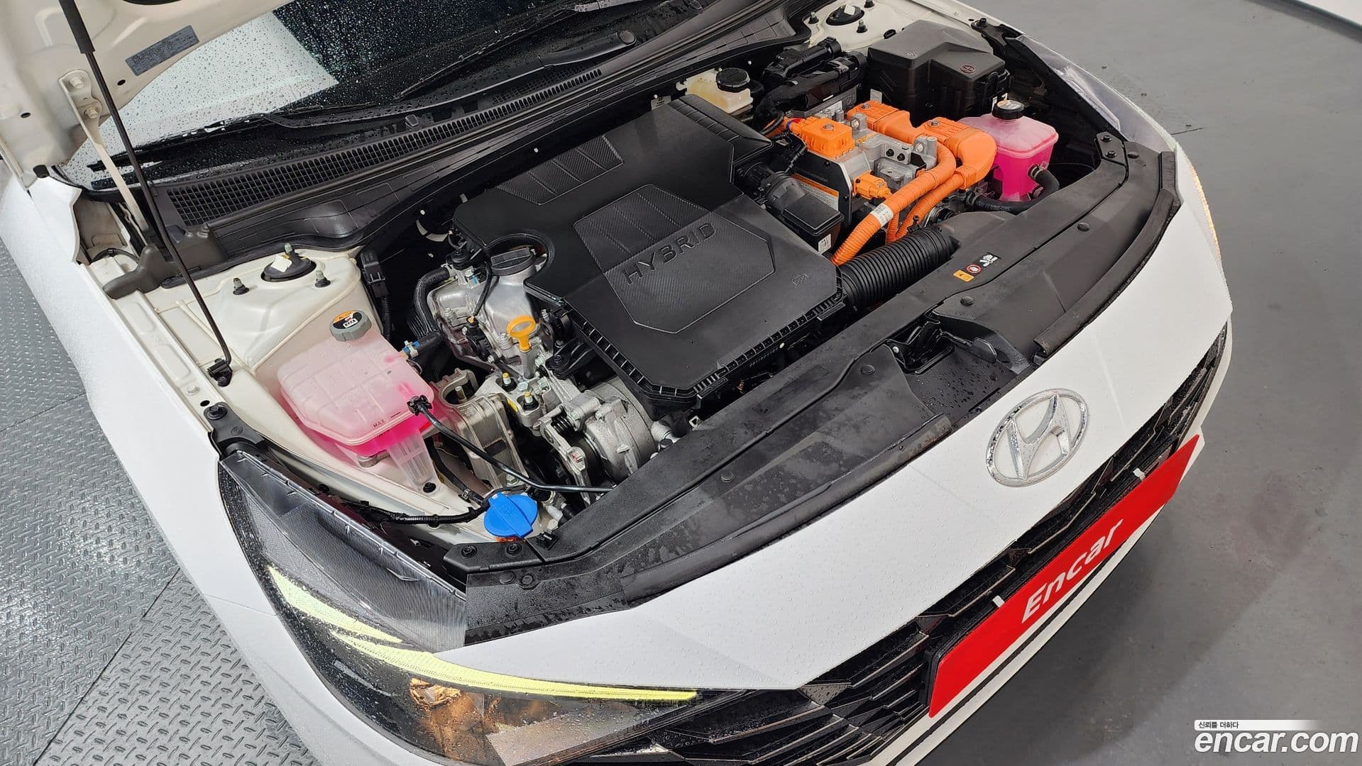 Main__Slider__Photo:AVANTE Hyundai 2022.11-5
