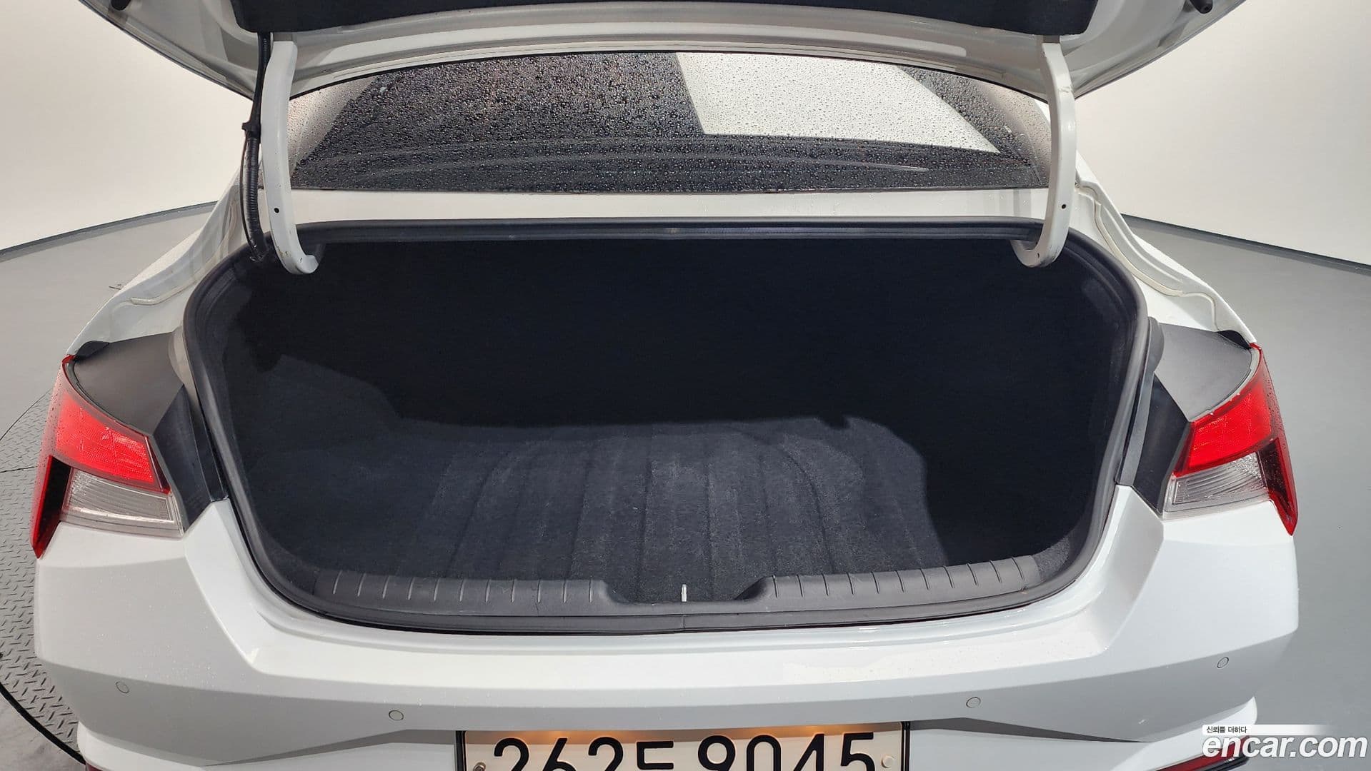 Main__Slider__Photo:AVANTE Hyundai 2022.11-19