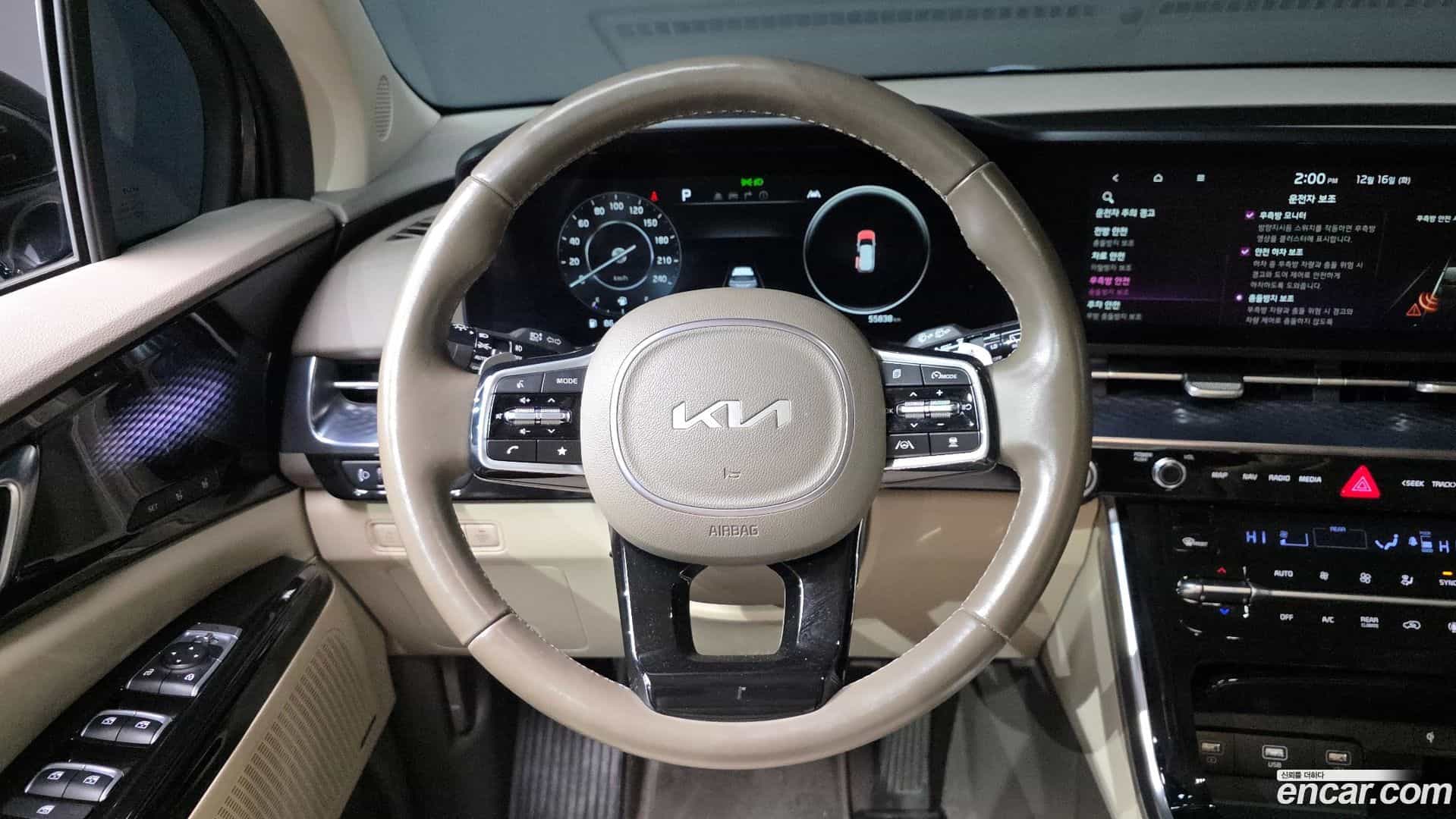 Canival Kia 2022.5-OPTION-017