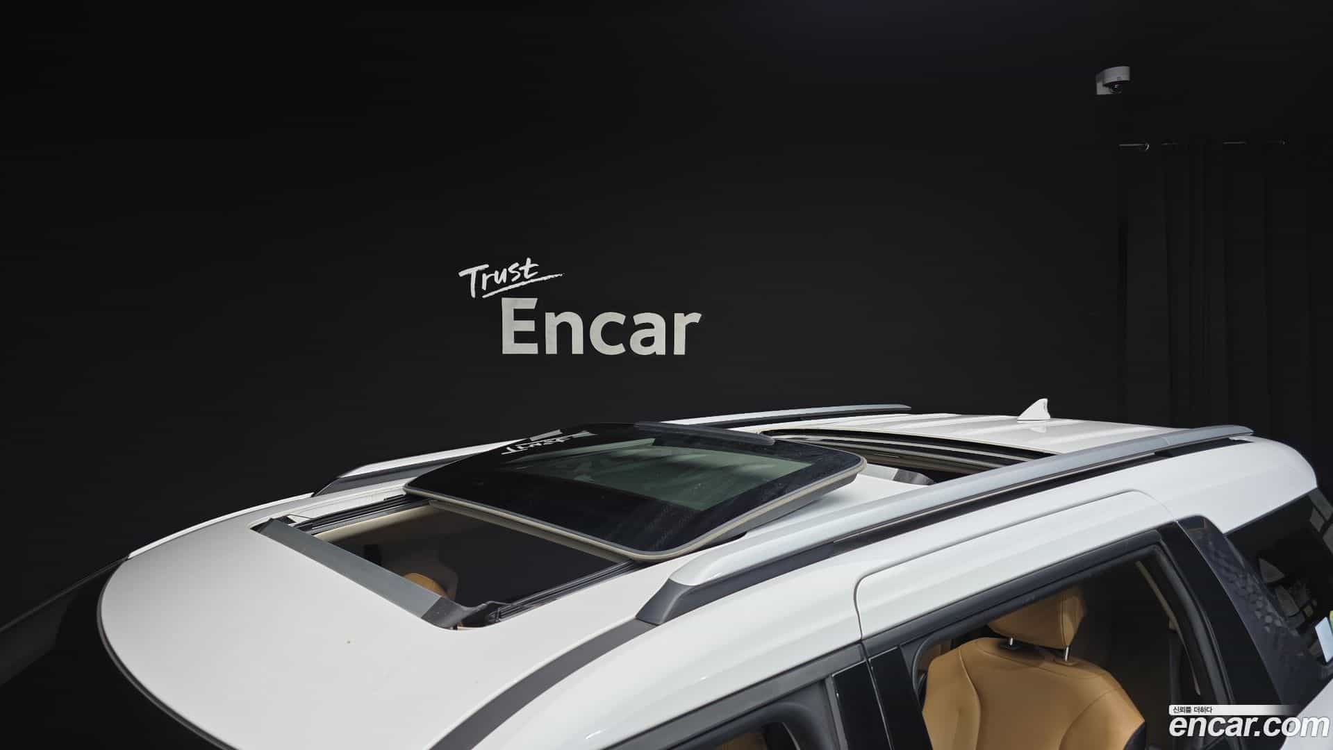 Canival Kia 2020.10-OPTION-023
