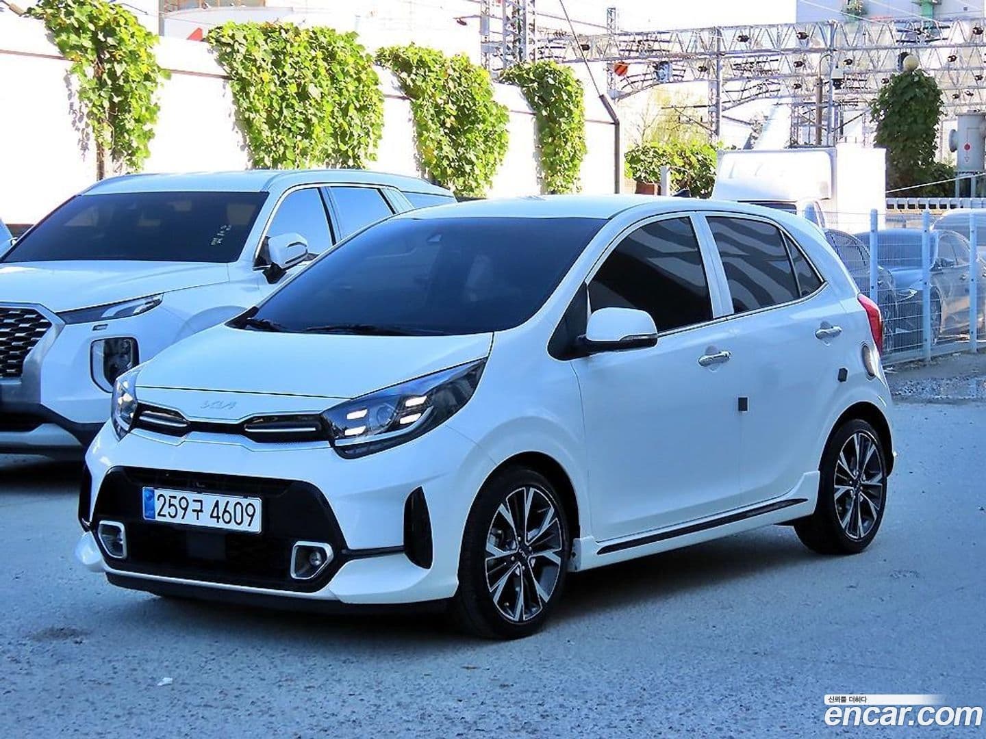 Main__Slider__Photo:morning Kia 2023.6-0