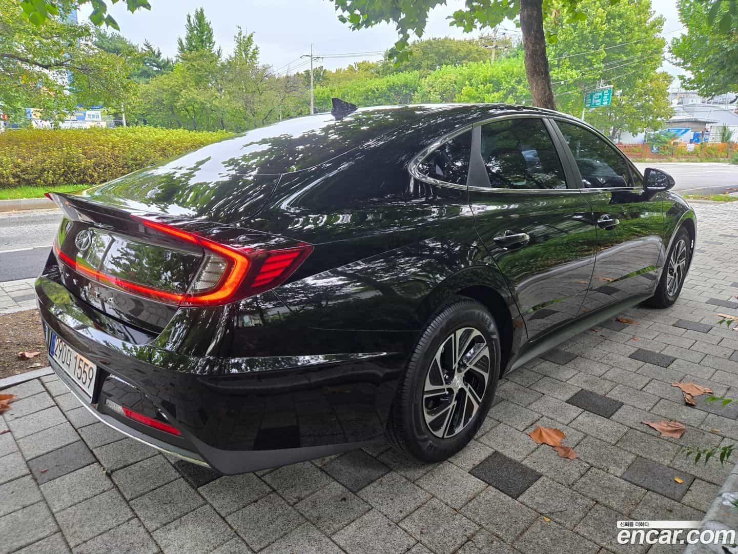 Sonata Hyundai 2021.5-OPTION-019