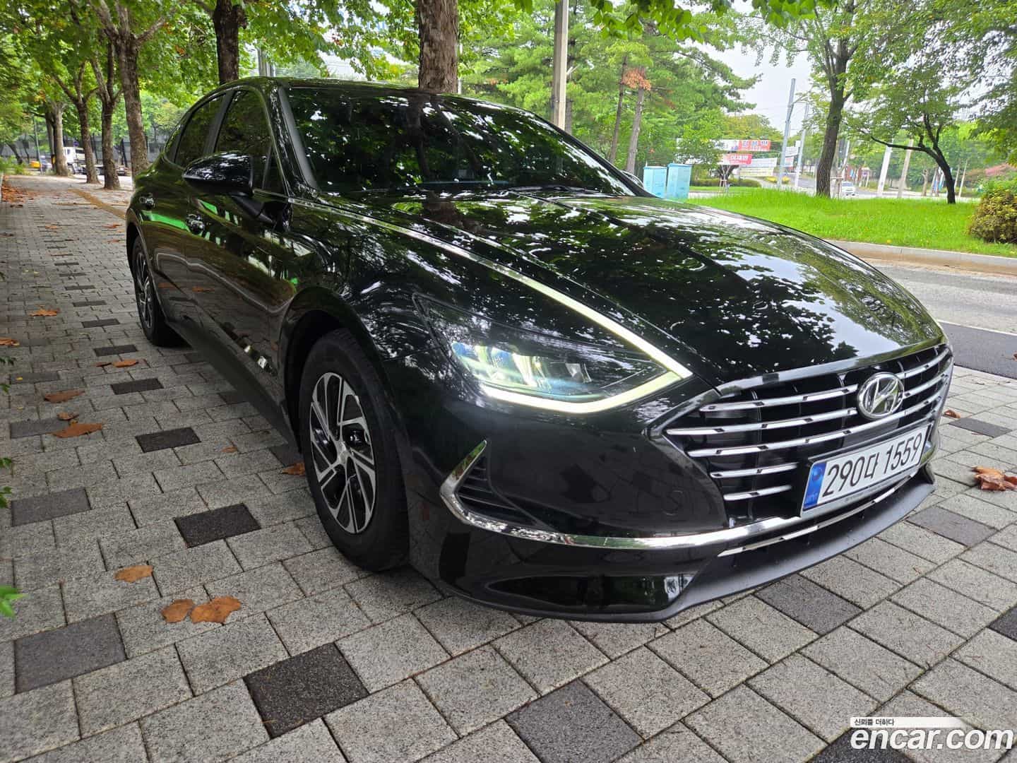 Sonata Hyundai 2021.5-OPTION-023