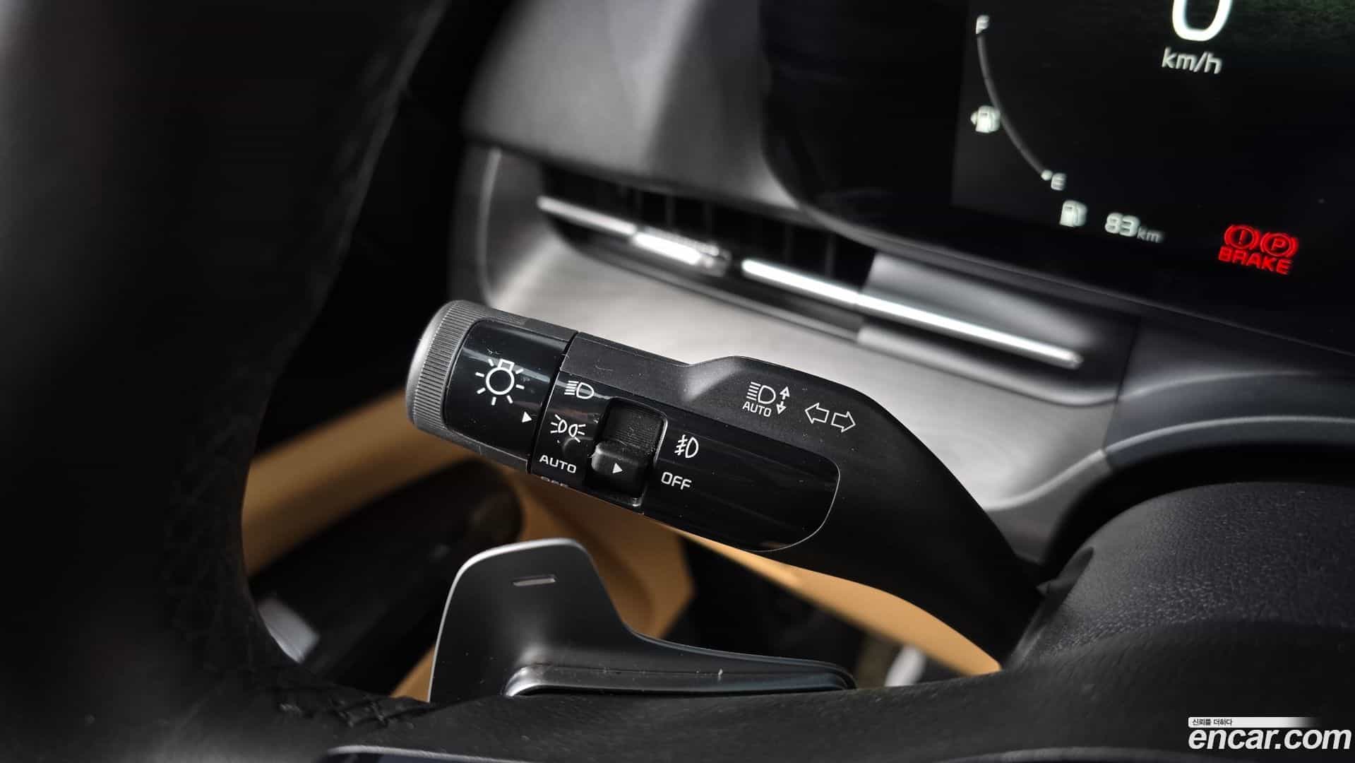 Canival Kia 2020.11-OPTION-021