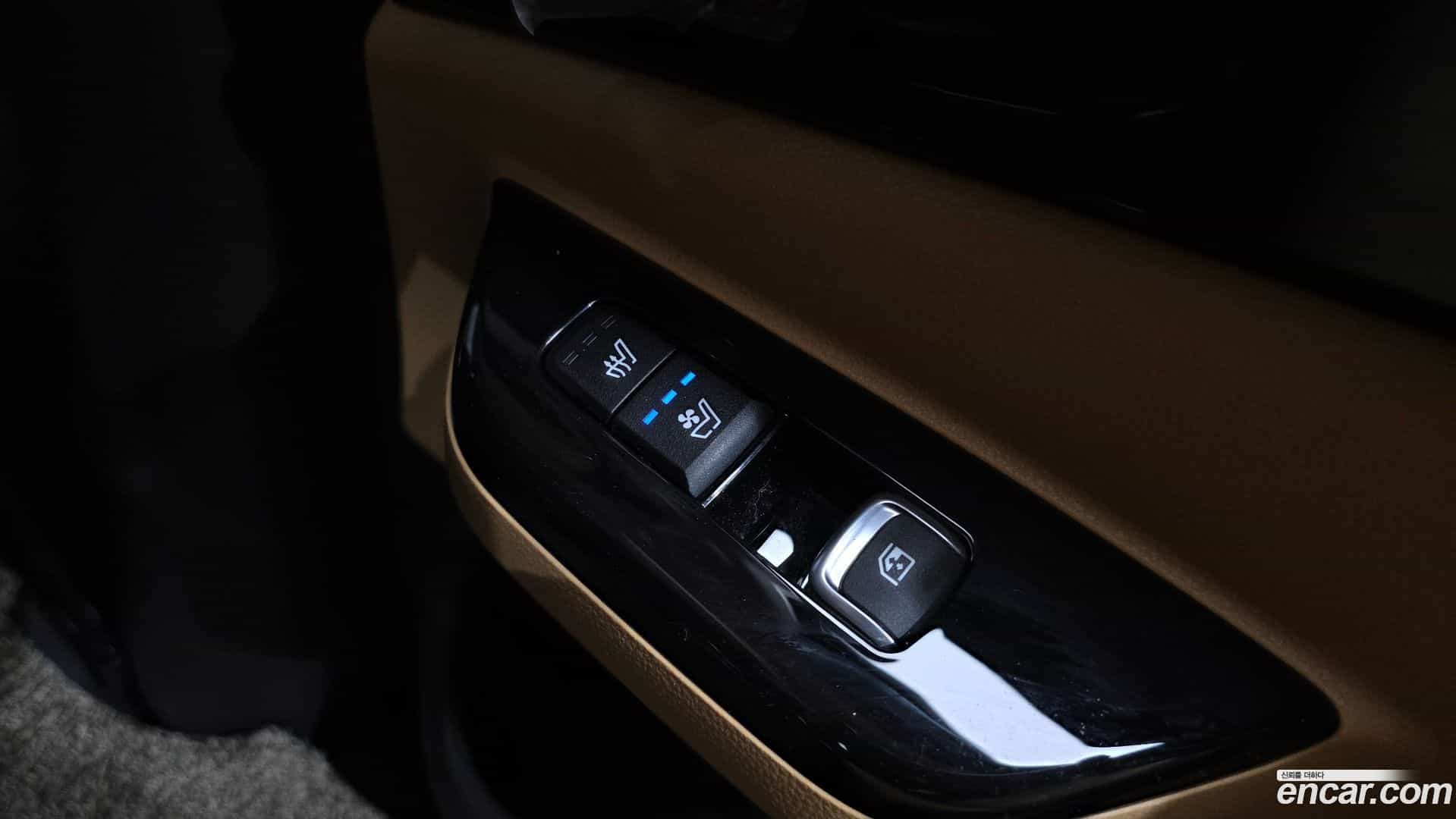 Canival Kia 2020.11-OPTION-022