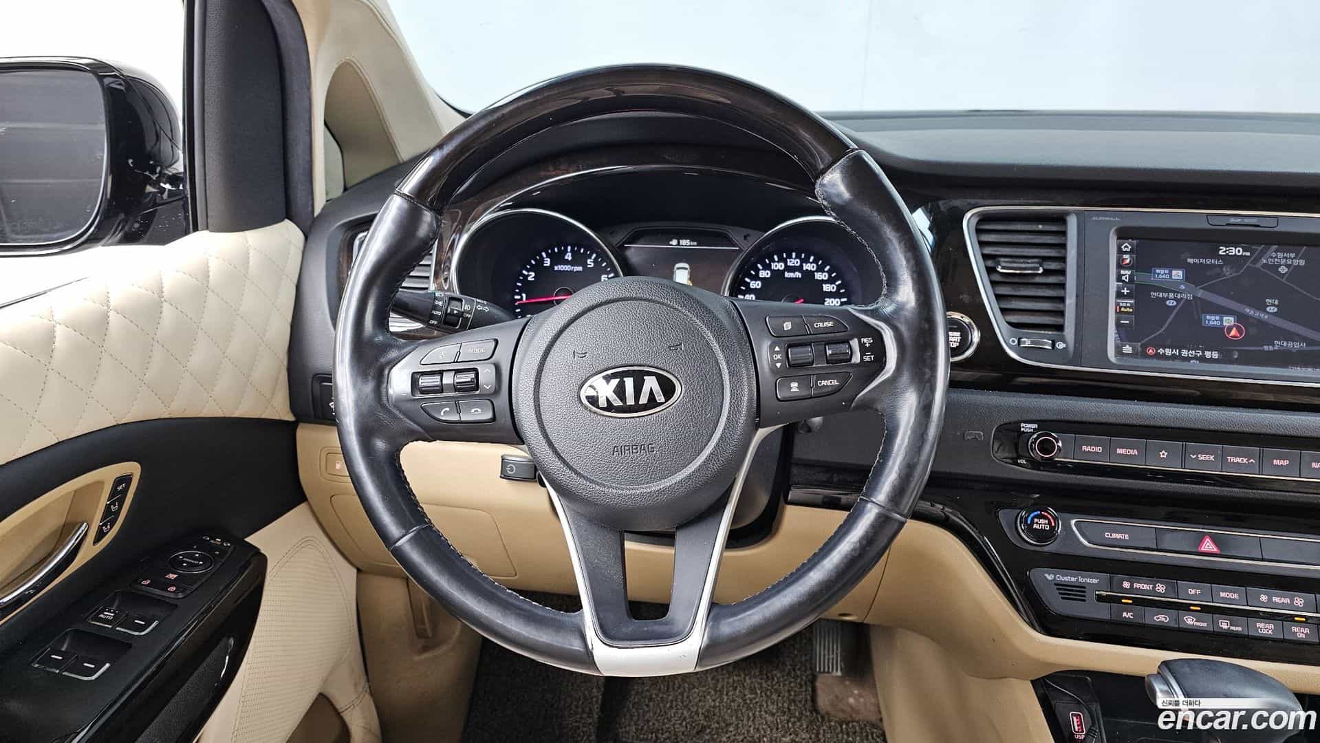 Canival Kia 2018.4-OPTION-017