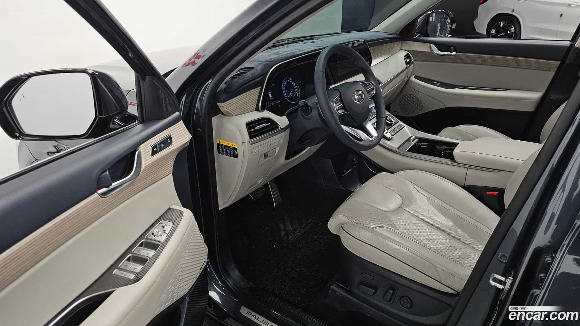 Palisade Hyundai 2019.0-OPTION-015