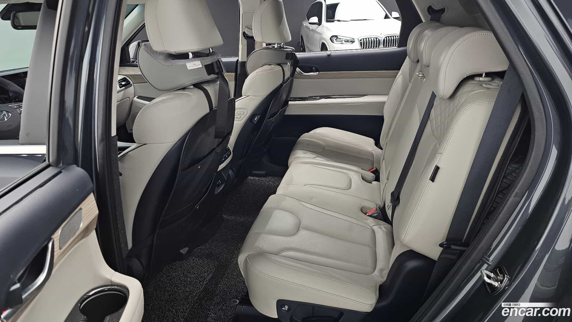 Palisade Hyundai 2019.0-OPTION-016