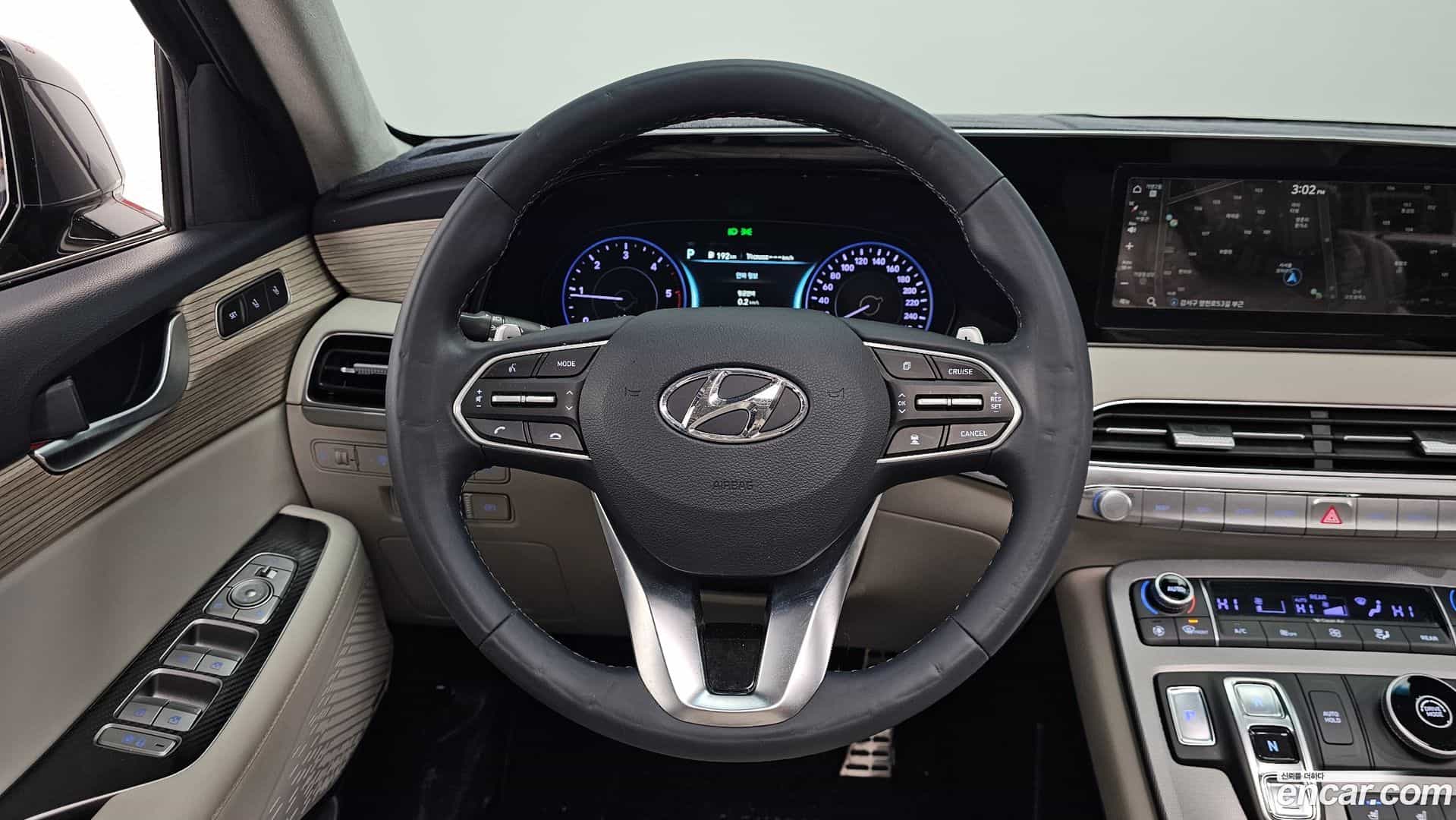 Palisade Hyundai 2019.0-OPTION-017