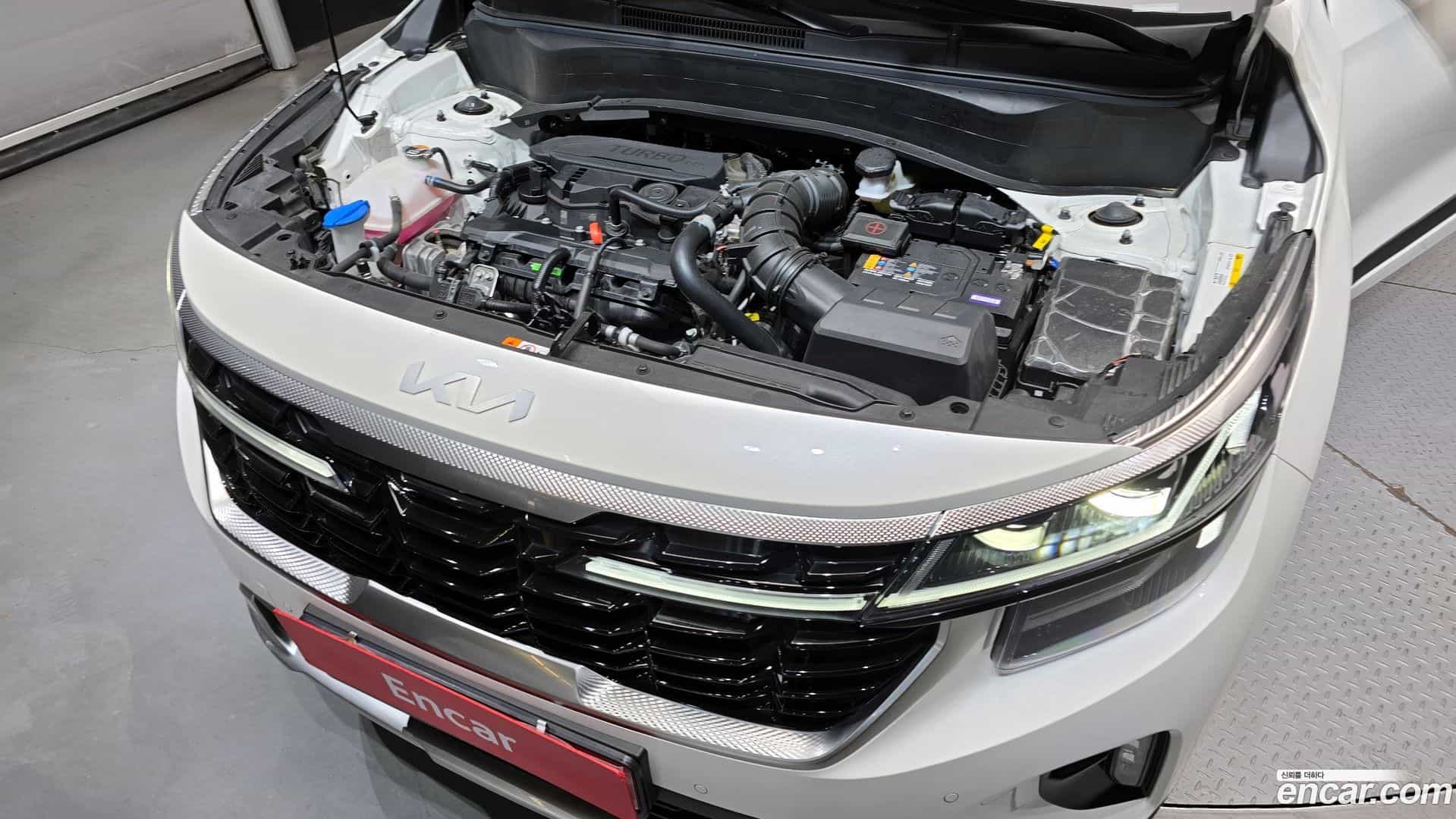 Seltos Kia 2024.6-INNER-006
