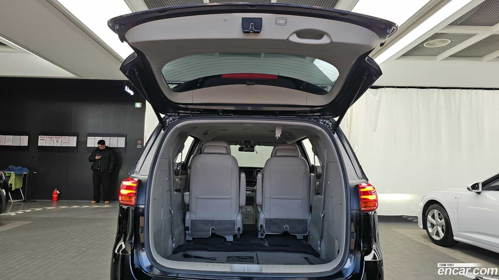 Canival Kia 2018.3-OPTION-022