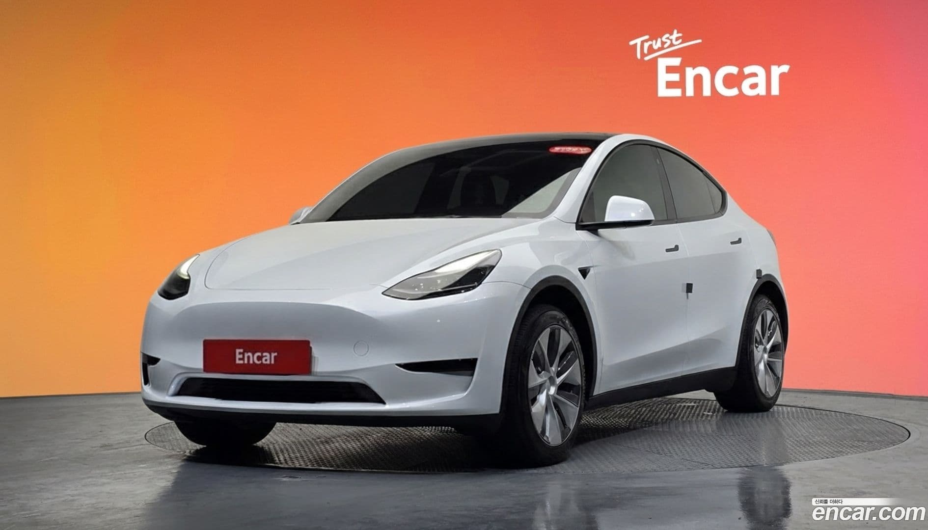 Main__Slider__Photo:Model Y Tesla 2023.8-0