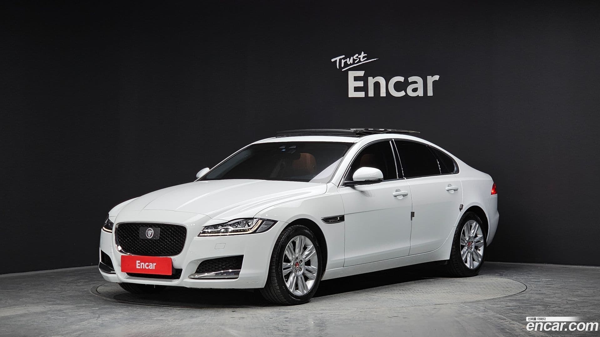 Main__Slider__Photo:XF Jaguar 2020.9-0