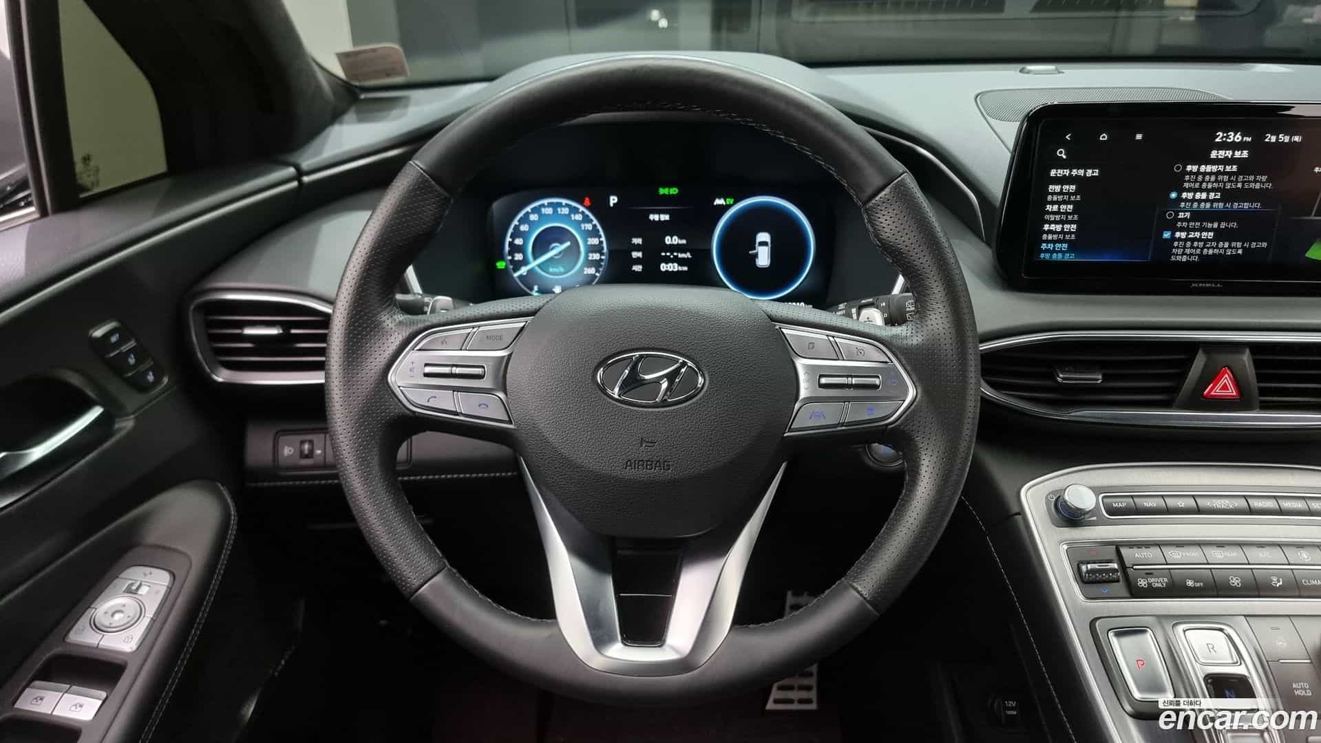 Santafe Hyundai 2022.10-OPTION-017