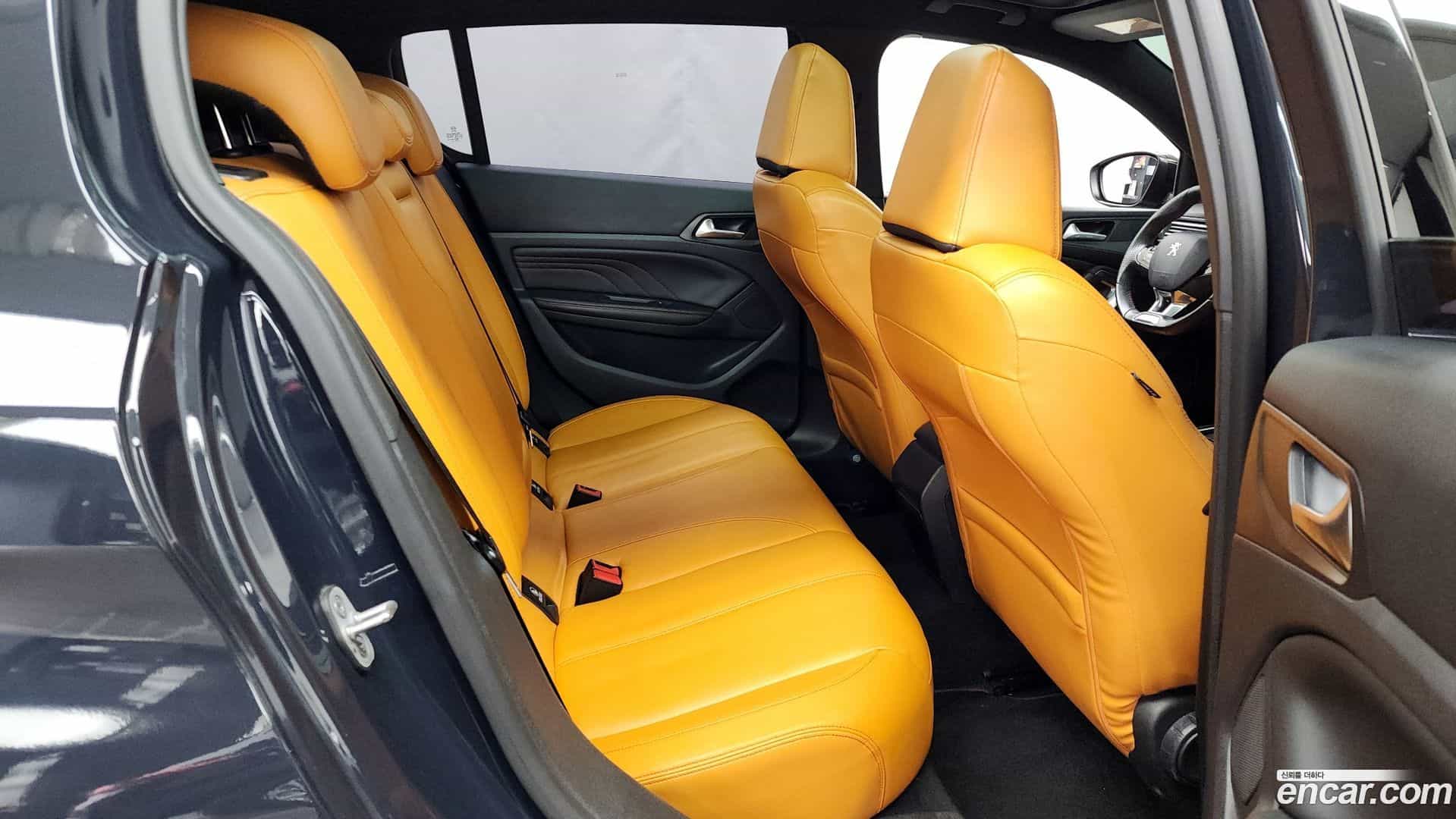 308 Peugeot 2016.8-OPTION-016
