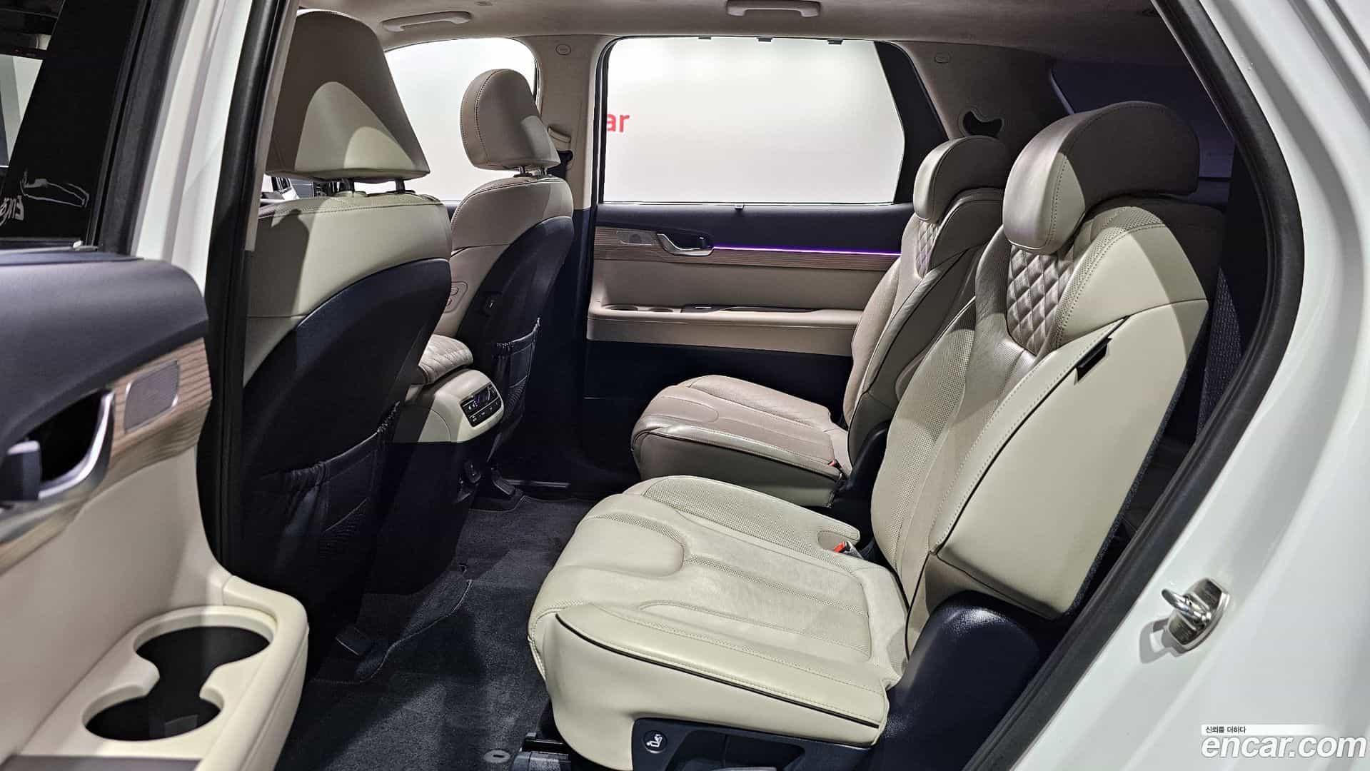 Palisade Hyundai 2019.3-OPTION-016