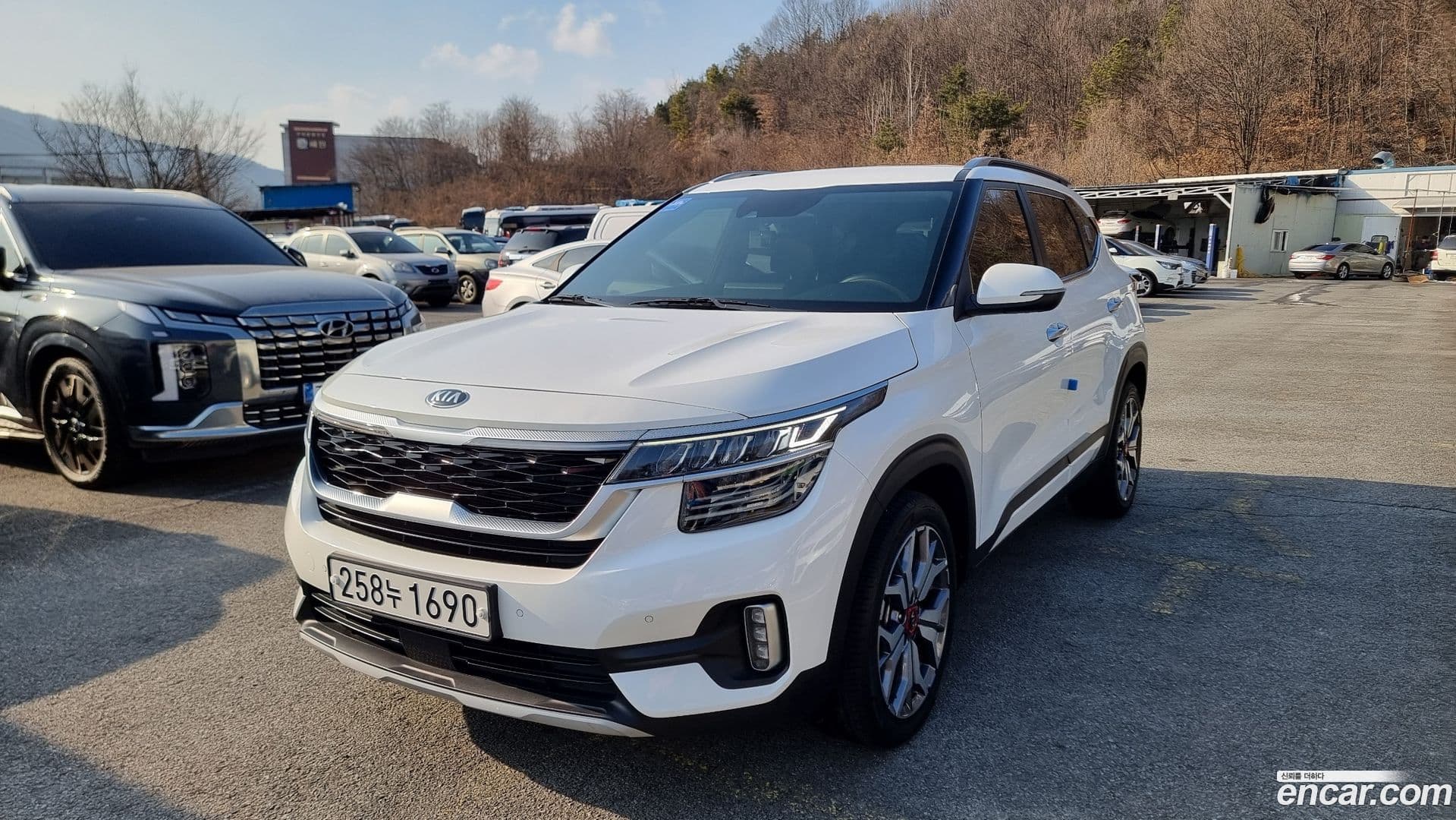 Main__Slider__Photo:Seltos Kia 2020.9-0