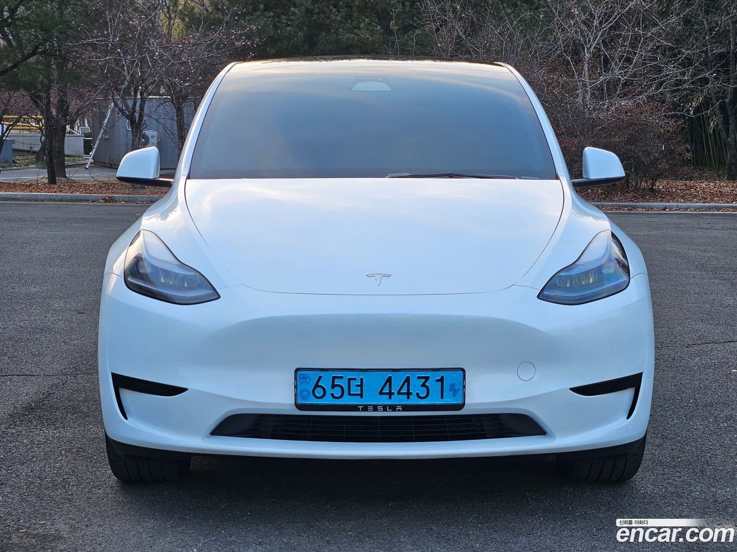 Main__Slider__Photo:Model Y Tesla 2023.10-0