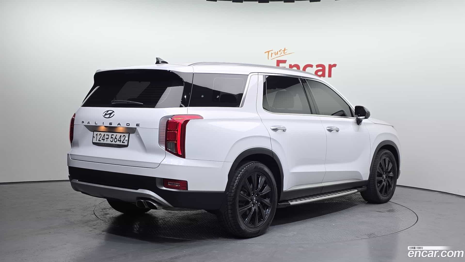 Palisade Hyundai 2019.2-OUTER-002