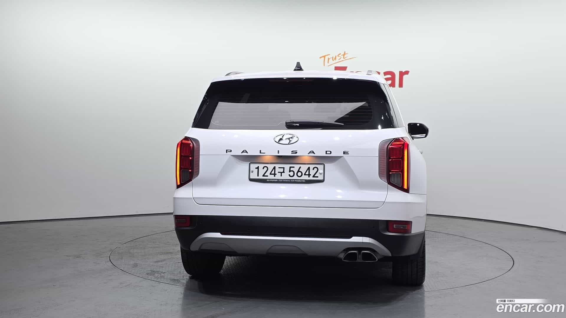 Palisade Hyundai 2019.2-OUTER-004
