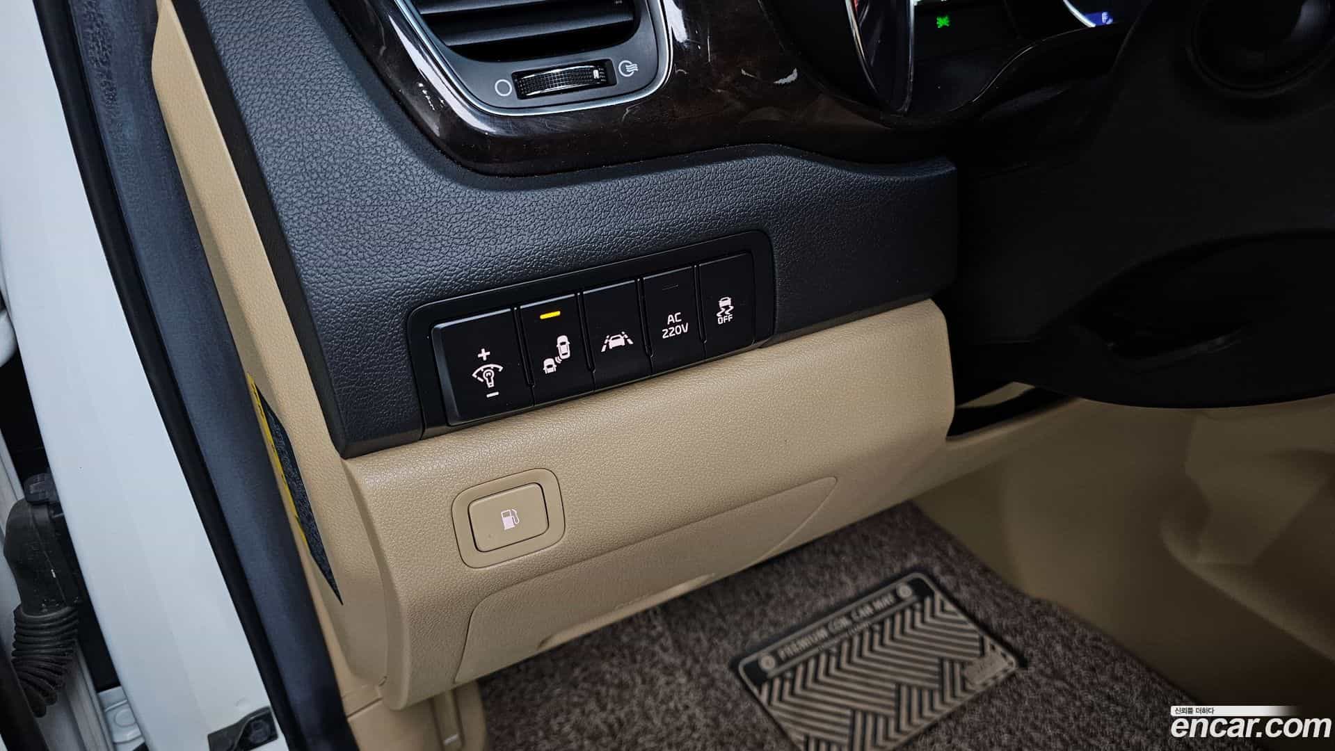 Canival Kia 2018.3-OPTION-022