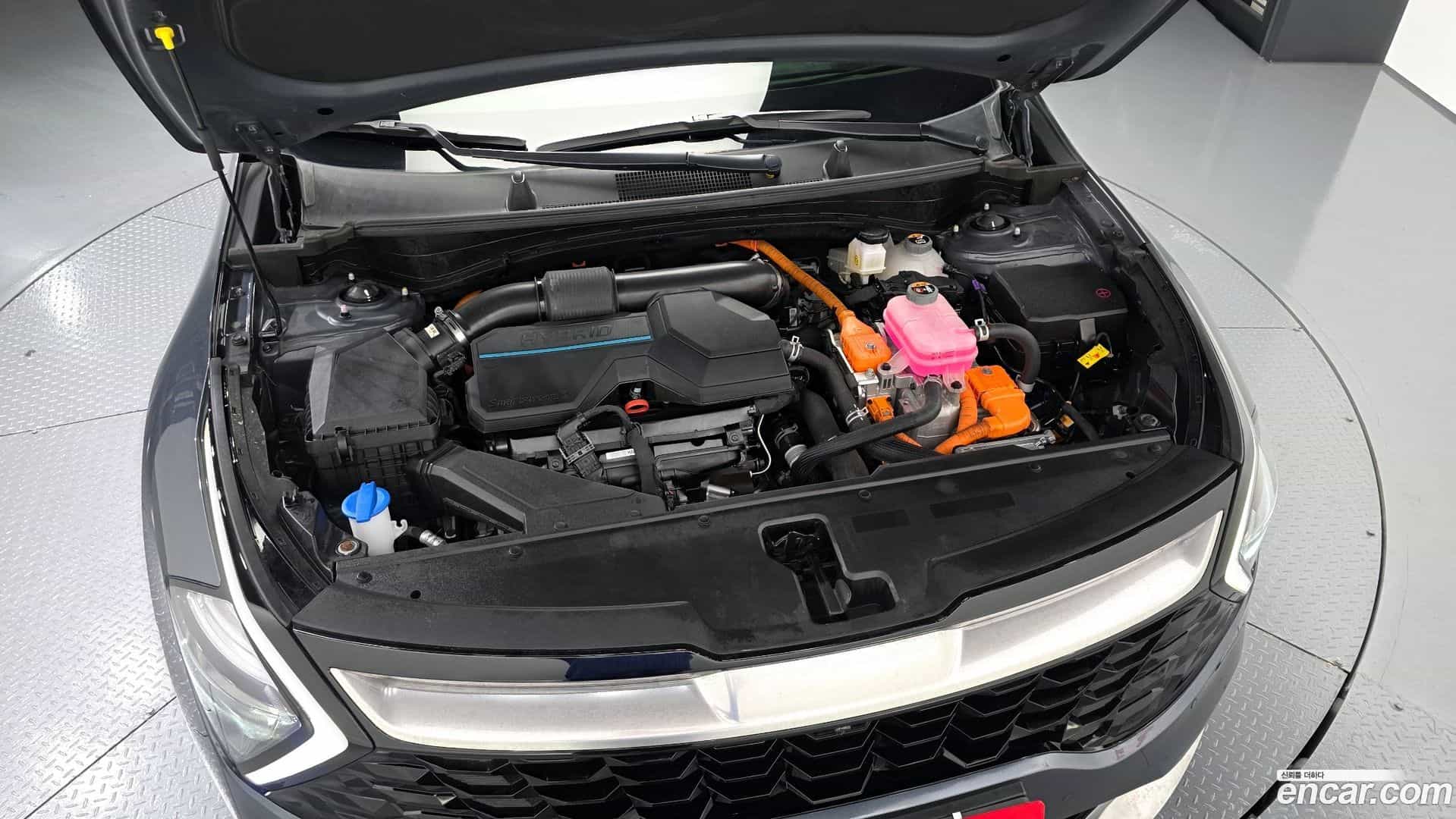 Sportage Kia 2022.3-INNER-006