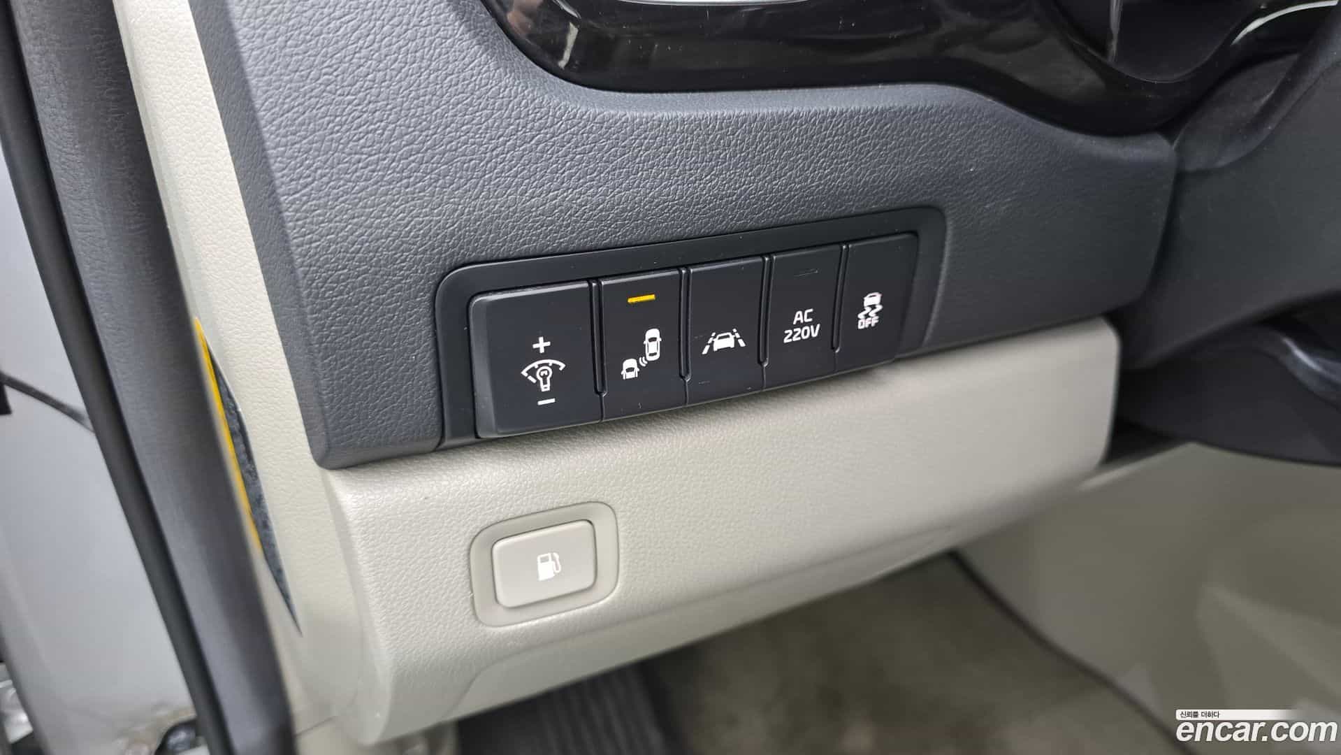 Canival Kia 2018.6-OPTION-019