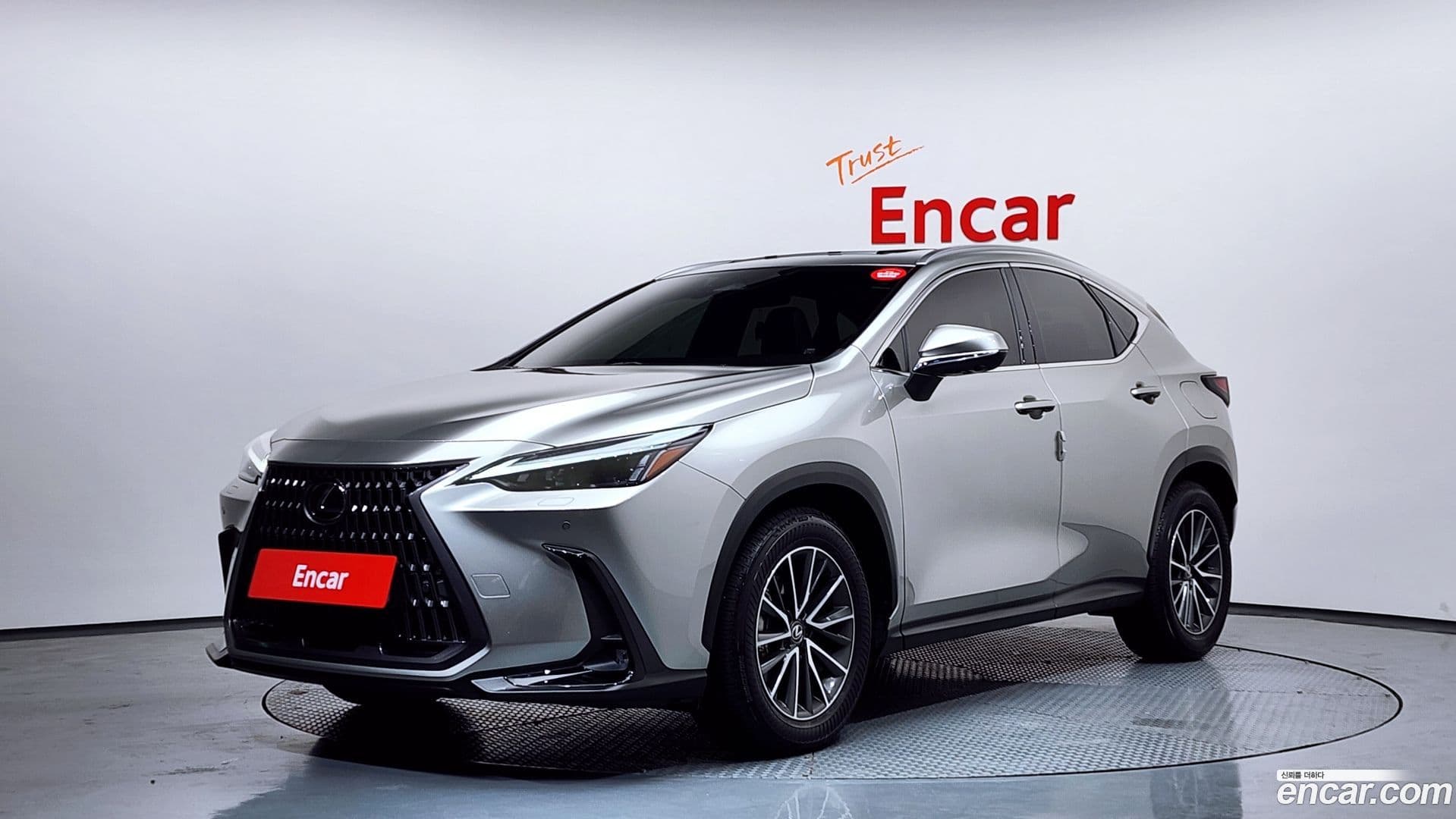 Main__Slider__Photo:NX Lexus 2023.8-0