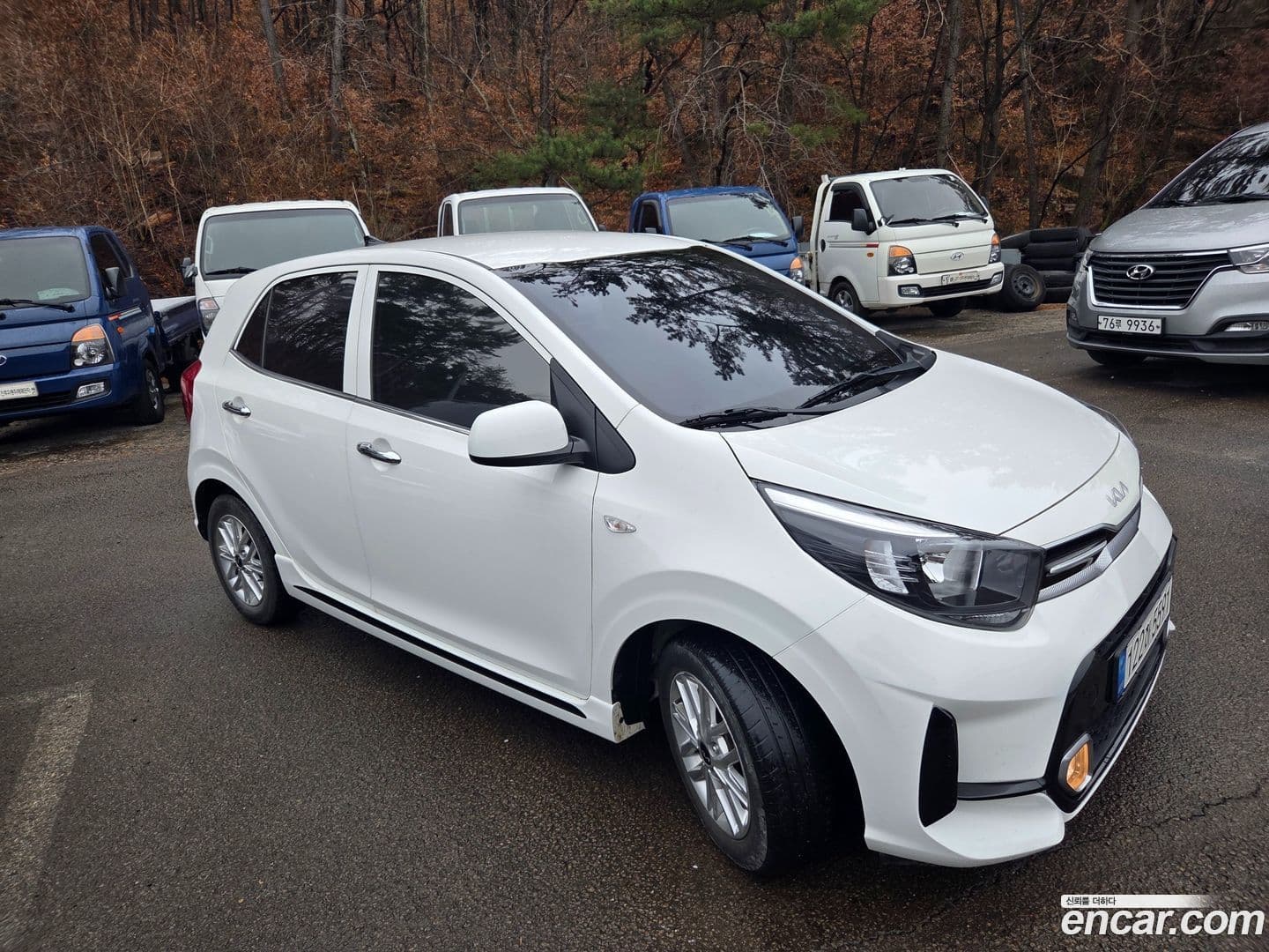 Main__Slider__Photo:morning Kia 2022.9-0