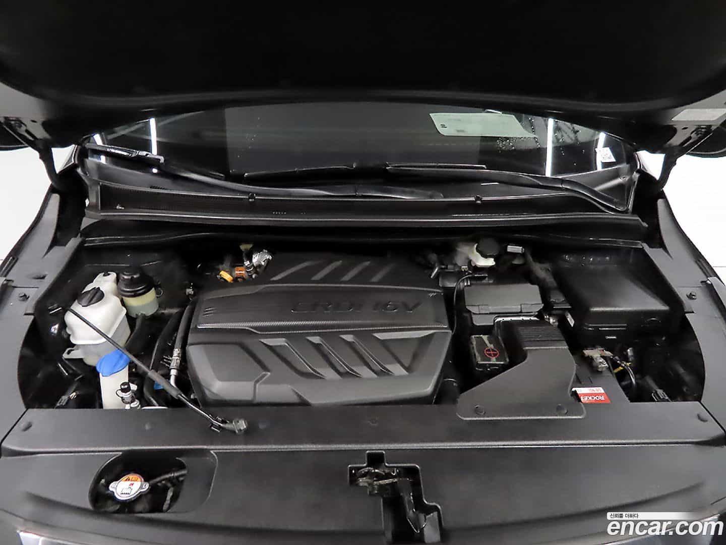 Canival Kia 2018.11-OPTION-023