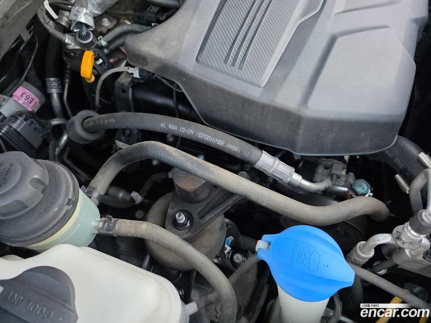 Canival Kia 2018.8-OPTION-024