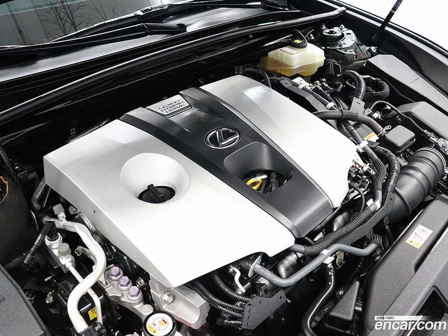 ES Lexus 2021.5-OPTION-023