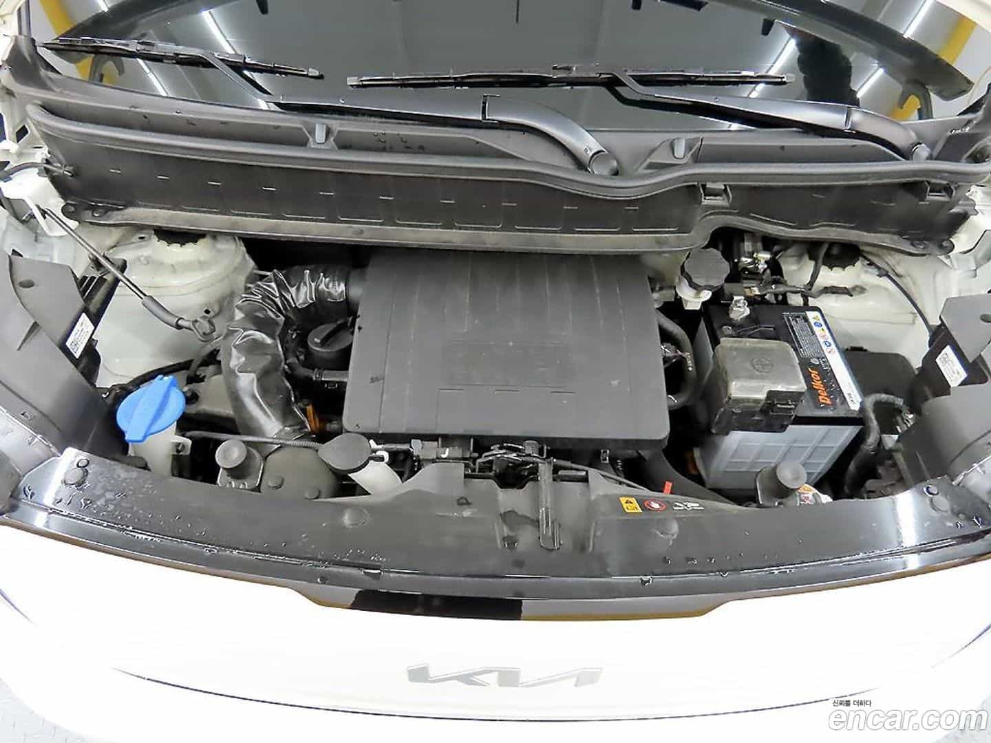 RAY Kia 2024.9-OUTER-006