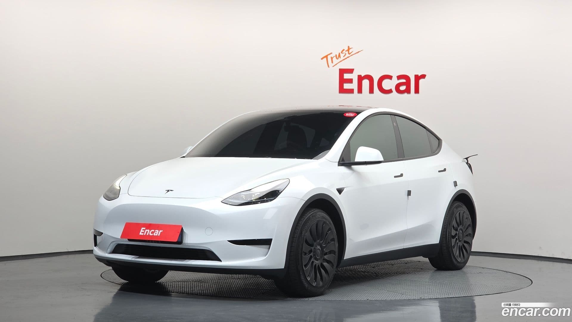 Main__Slider__Photo:Model Y Tesla 2023.8-0
