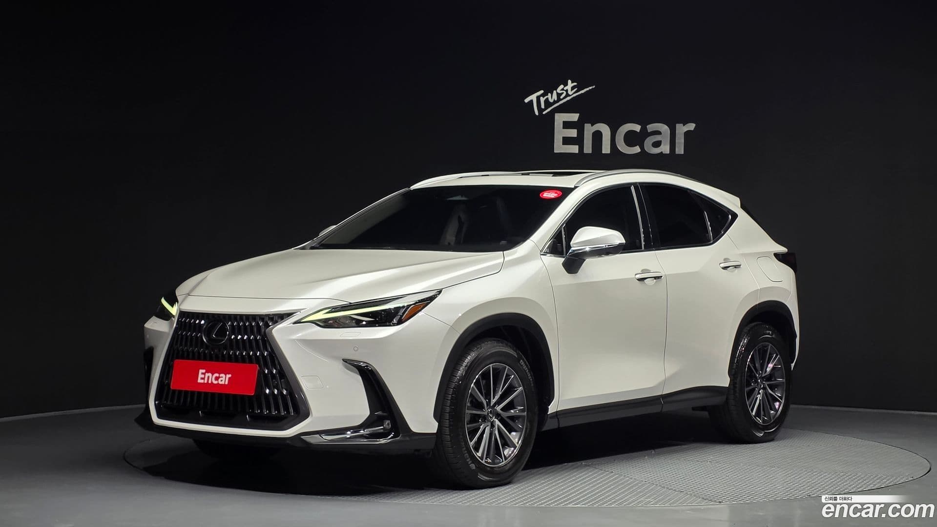 Main__Slider__Photo:NX Lexus 2024.4-0