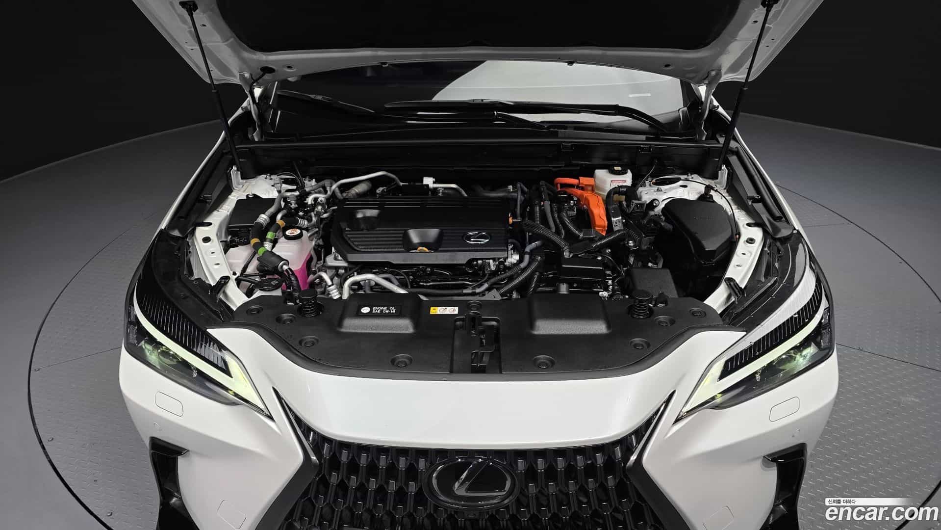 NX Lexus 2024.4-INNER-006