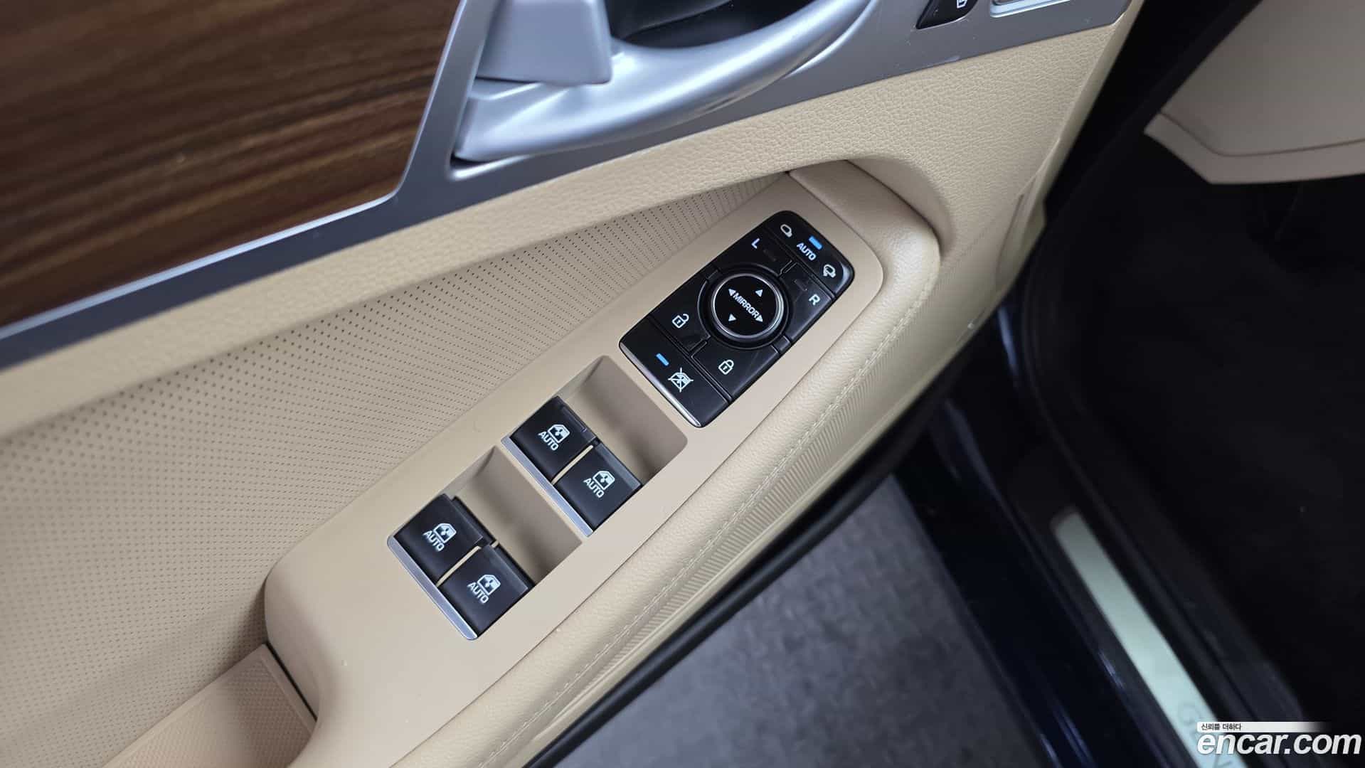 G80 Genesis 2019.8-OPTION-018