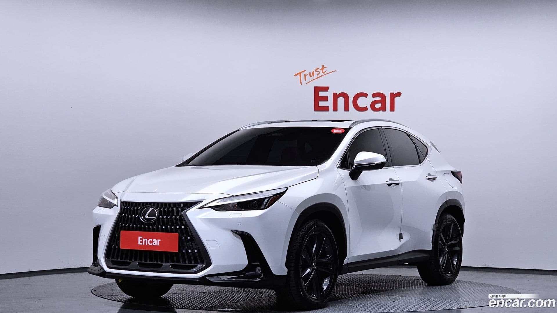 Main__Slider__Photo:NX Lexus 2024.1-0