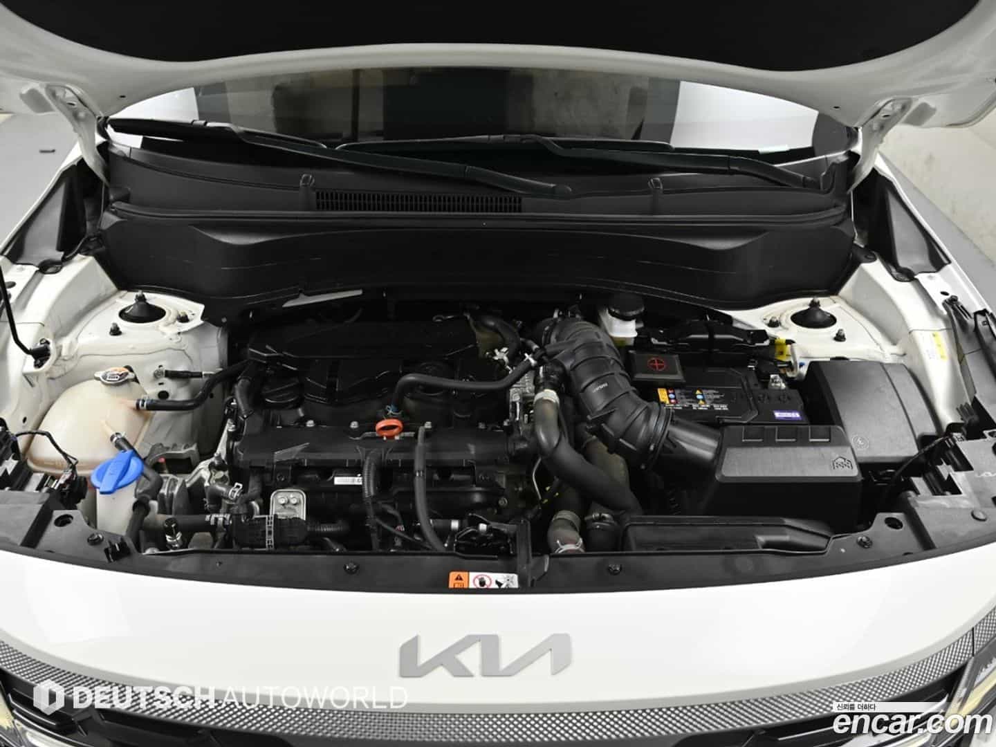 Seltos Kia 2023.6-OPTION-022