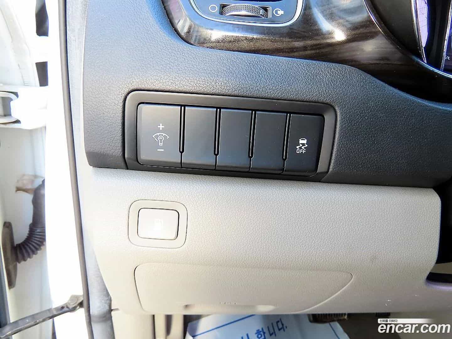 Canival Kia 2018.5-OPTION-016