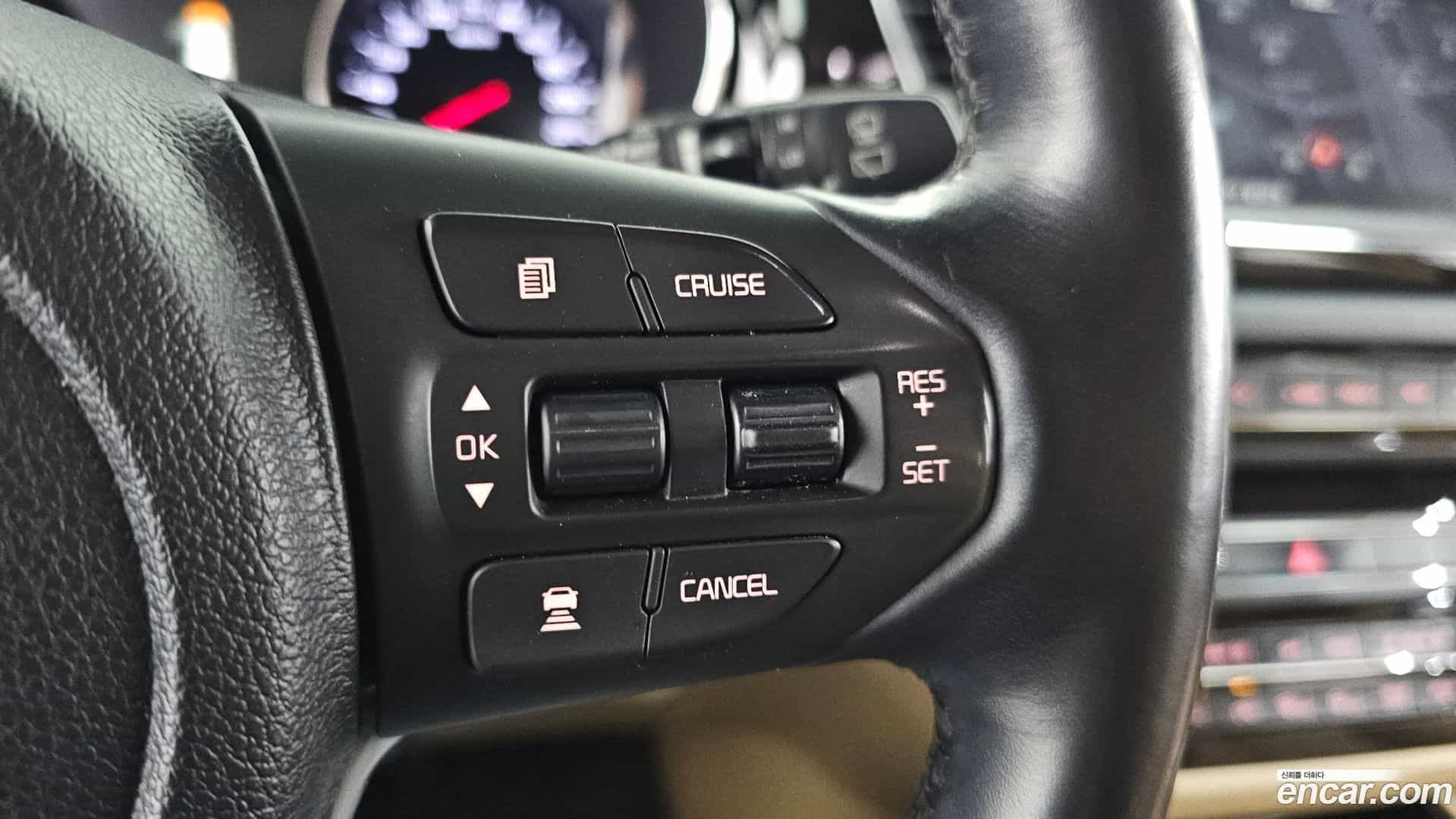 Canival Kia 2018.9-OPTION-024