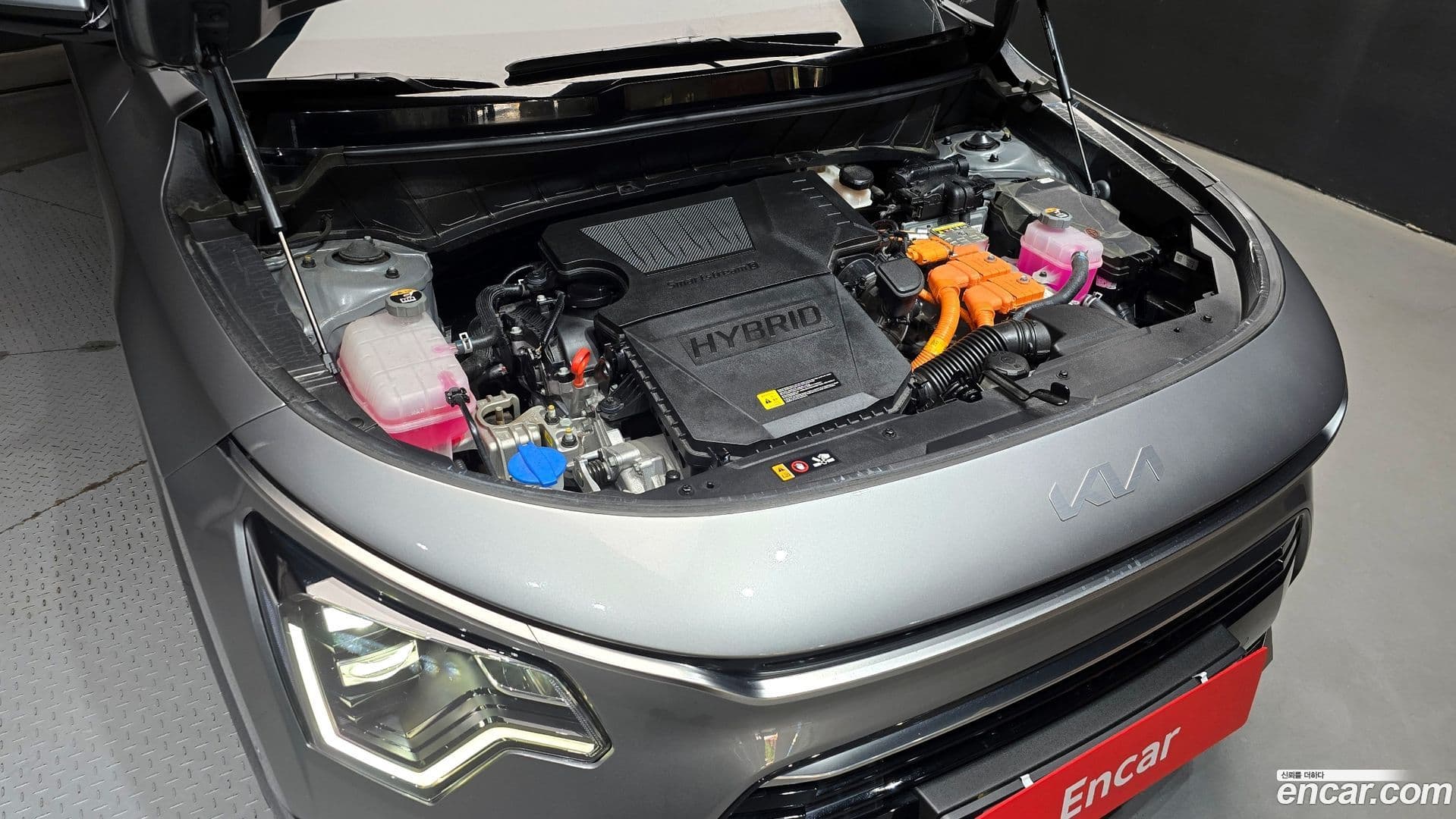 Main__Slider__Photo:Niro Kia 2022.11-5