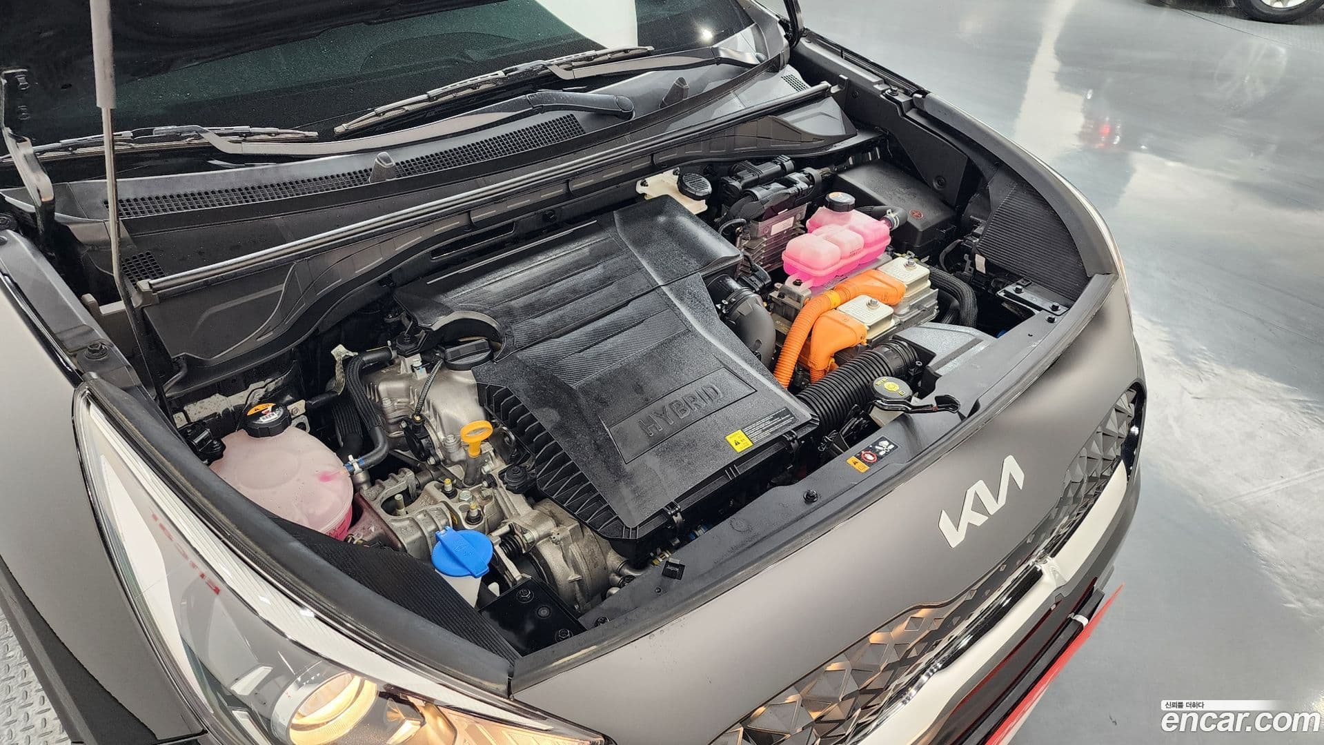 Main__Slider__Photo:Niro Kia 2021.9-5