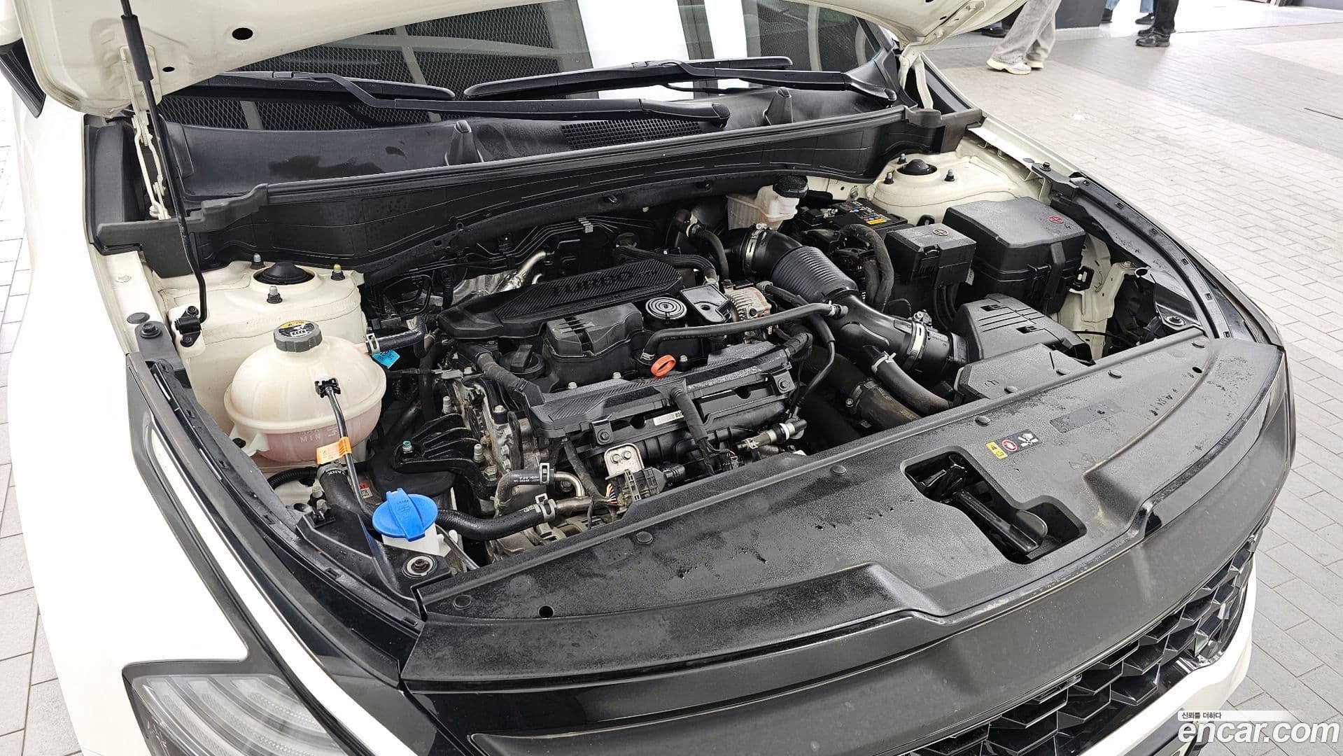 Main__Slider__Photo:Sportage Kia 2021.6-5