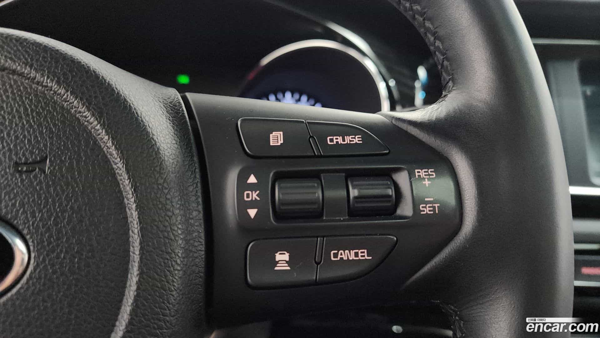 Canival Kia 2019.10-OPTION-043