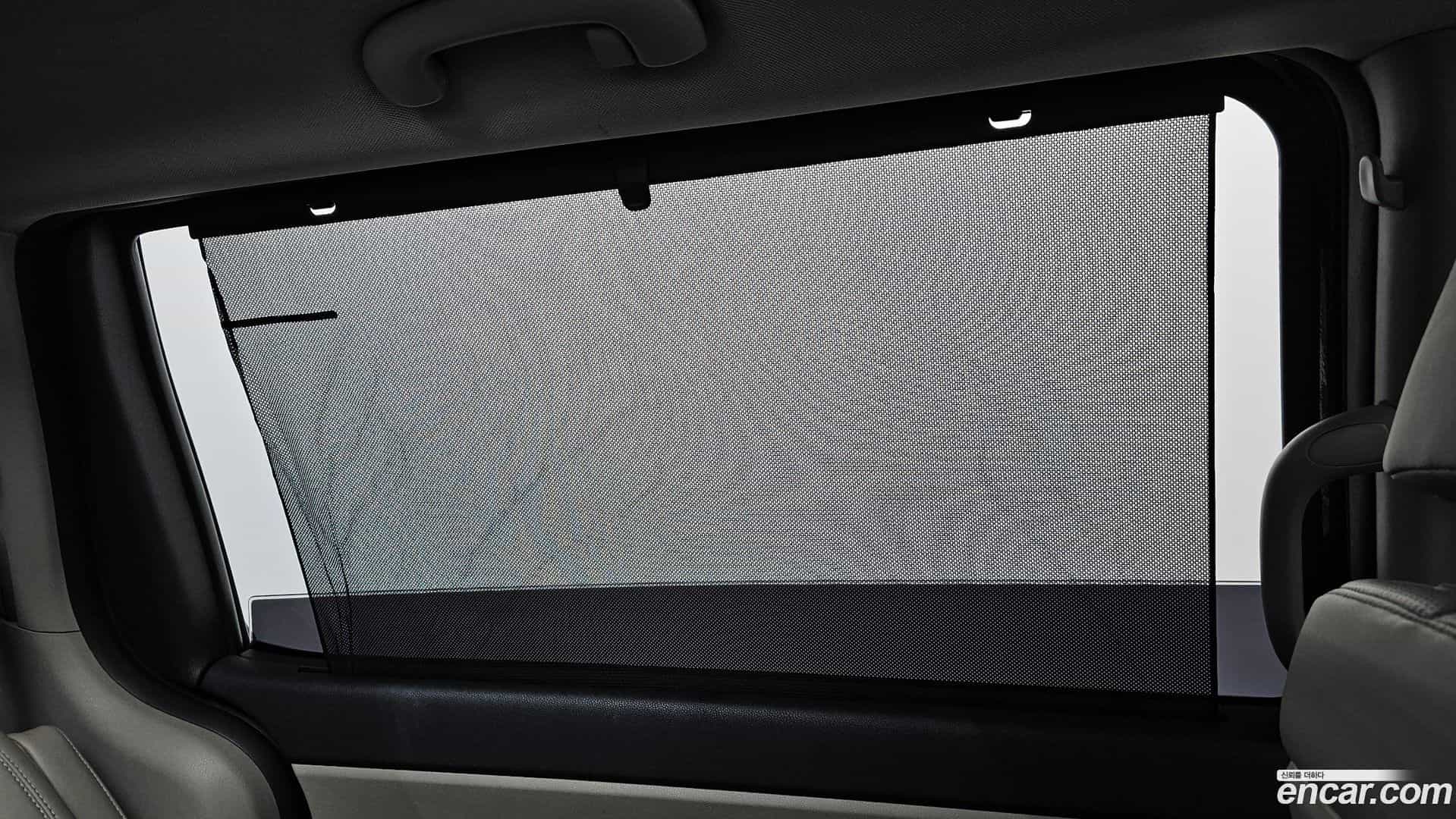 Canival Kia 2018.5-OPTION-051